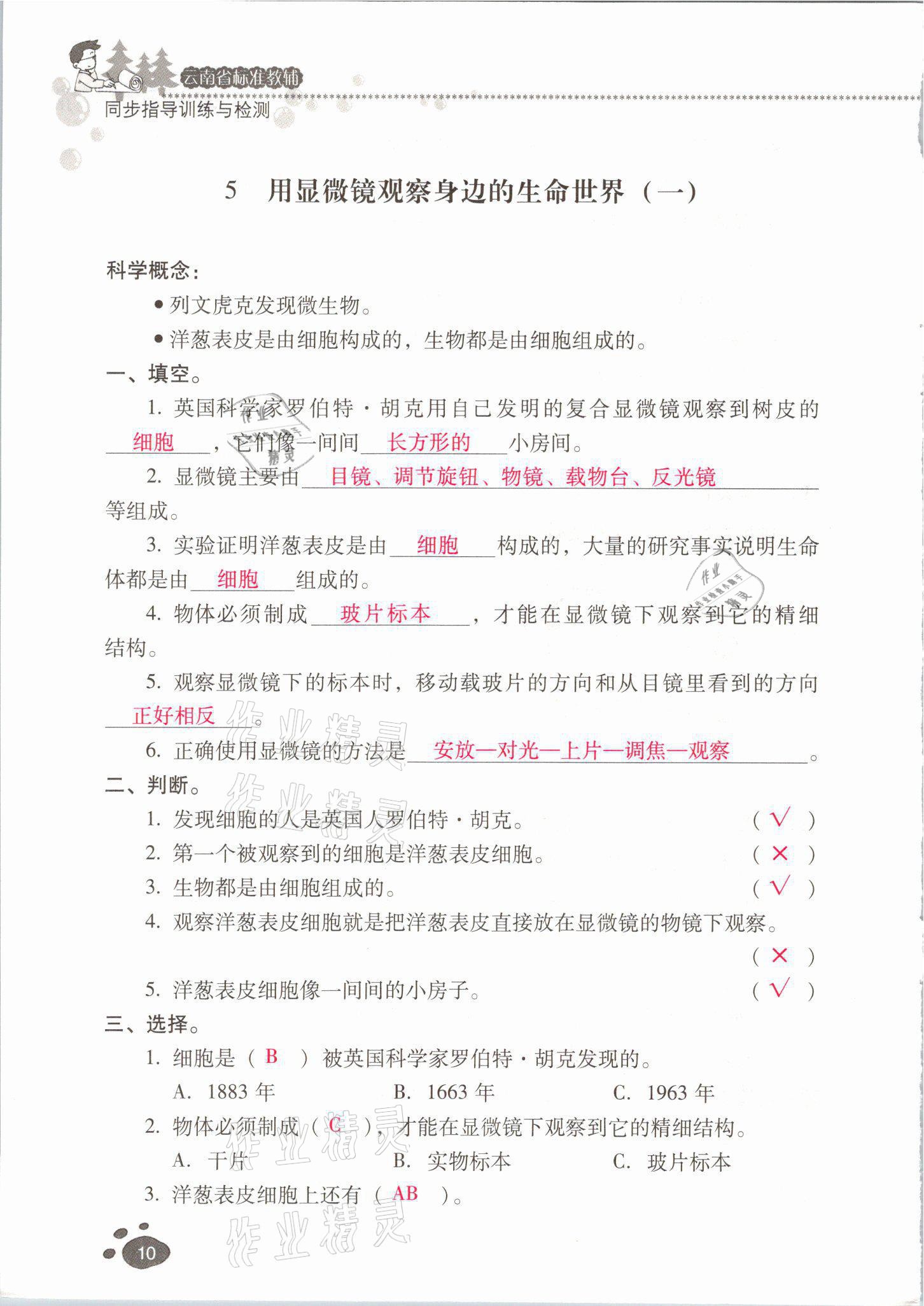 2021年云南省标准教辅同步指导训练与检测六年级科学下册教科版 参考答案第9页