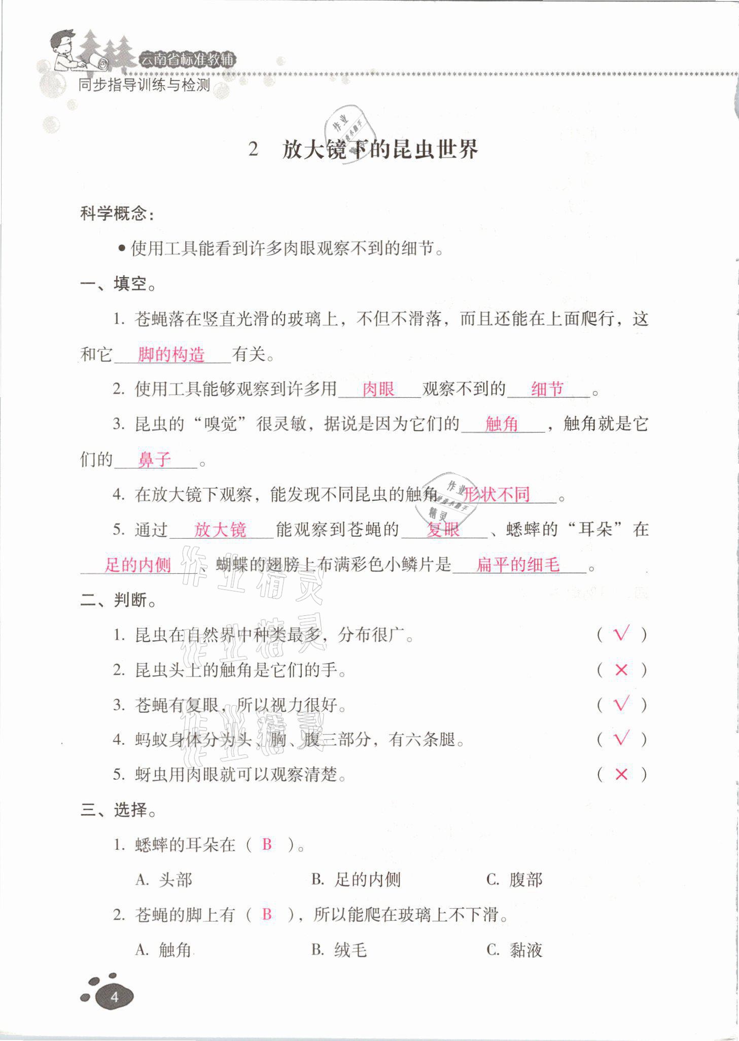 2021年云南省标准教辅同步指导训练与检测六年级科学下册教科版 参考答案第3页