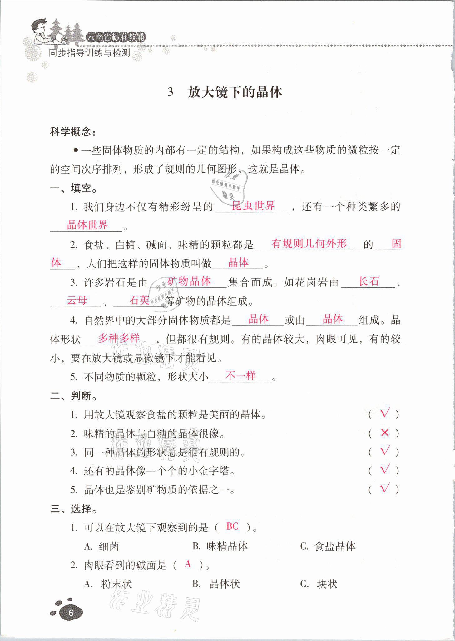 2021年云南省标准教辅同步指导训练与检测六年级科学下册教科版 参考答案第5页