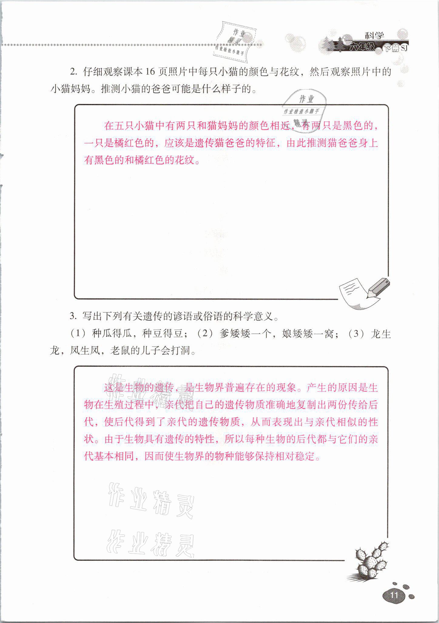 2021年云南省标准教辅同步指导训练与检测六年级科学下册苏教版 参考答案第10页