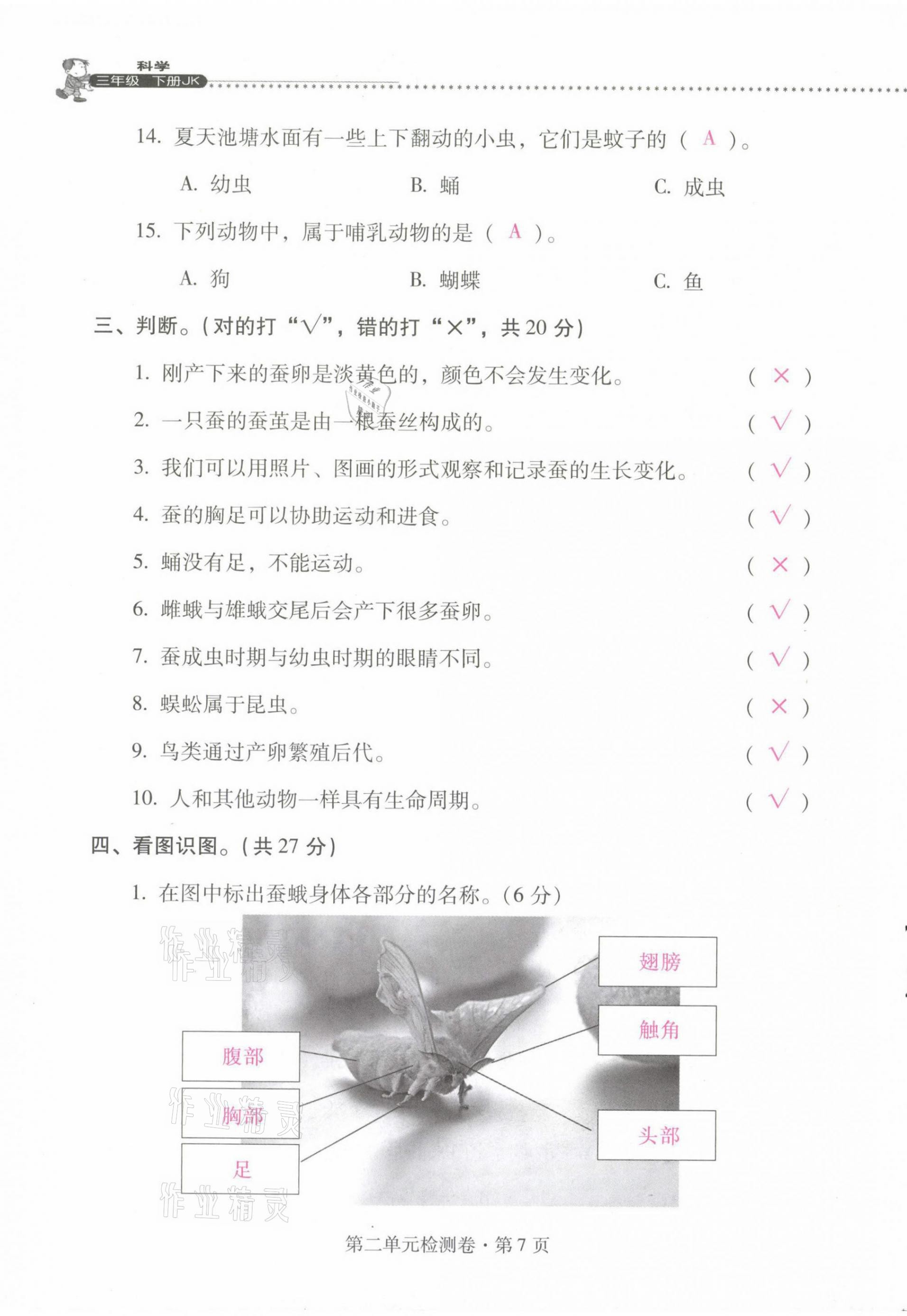 2021年云南省标准教辅同步指导训练与检测三年级科学下册教科版 第7页