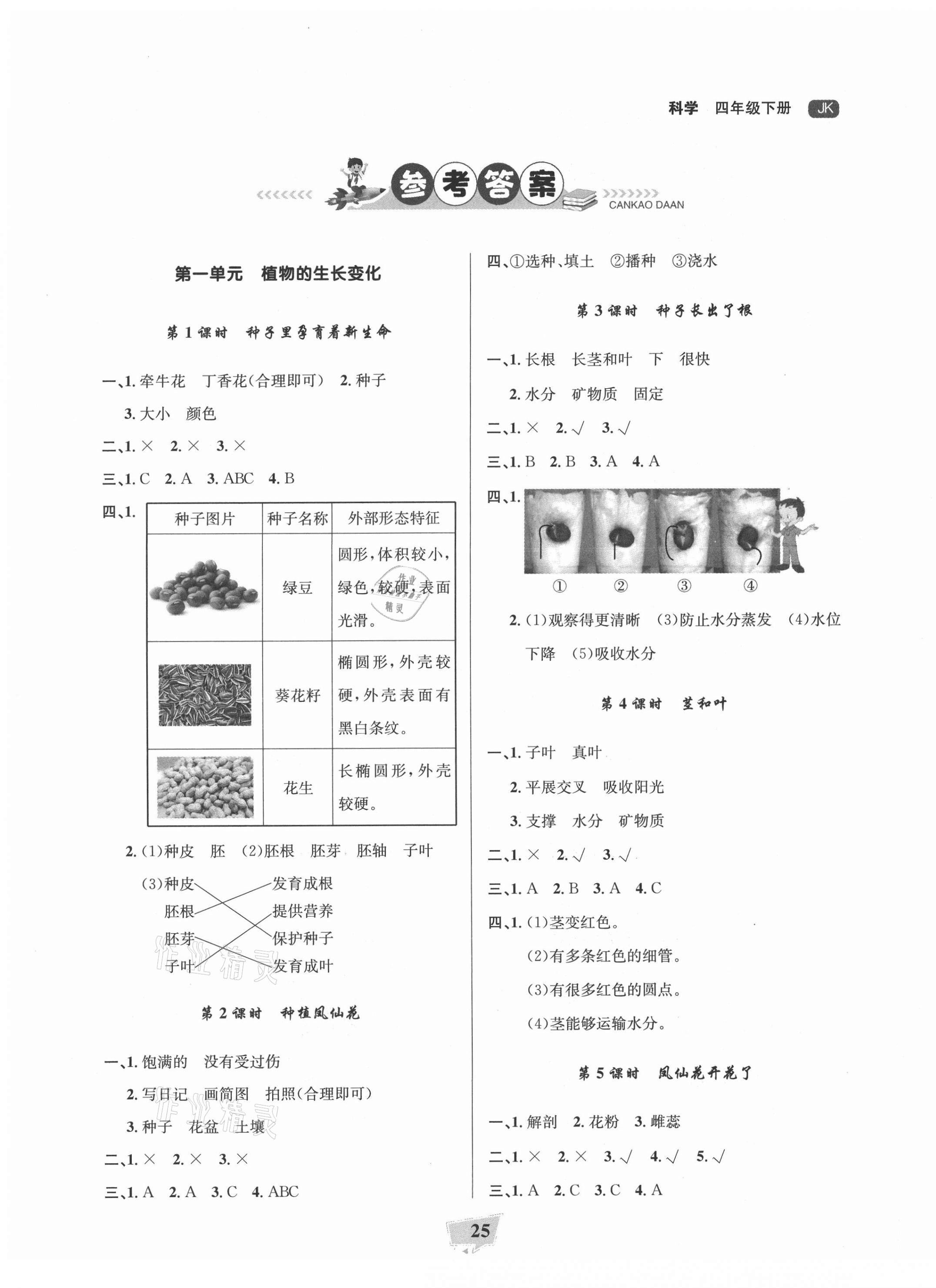 2021年阳光作业本课时天天练四年级科学下册教科版 参考答案第1页