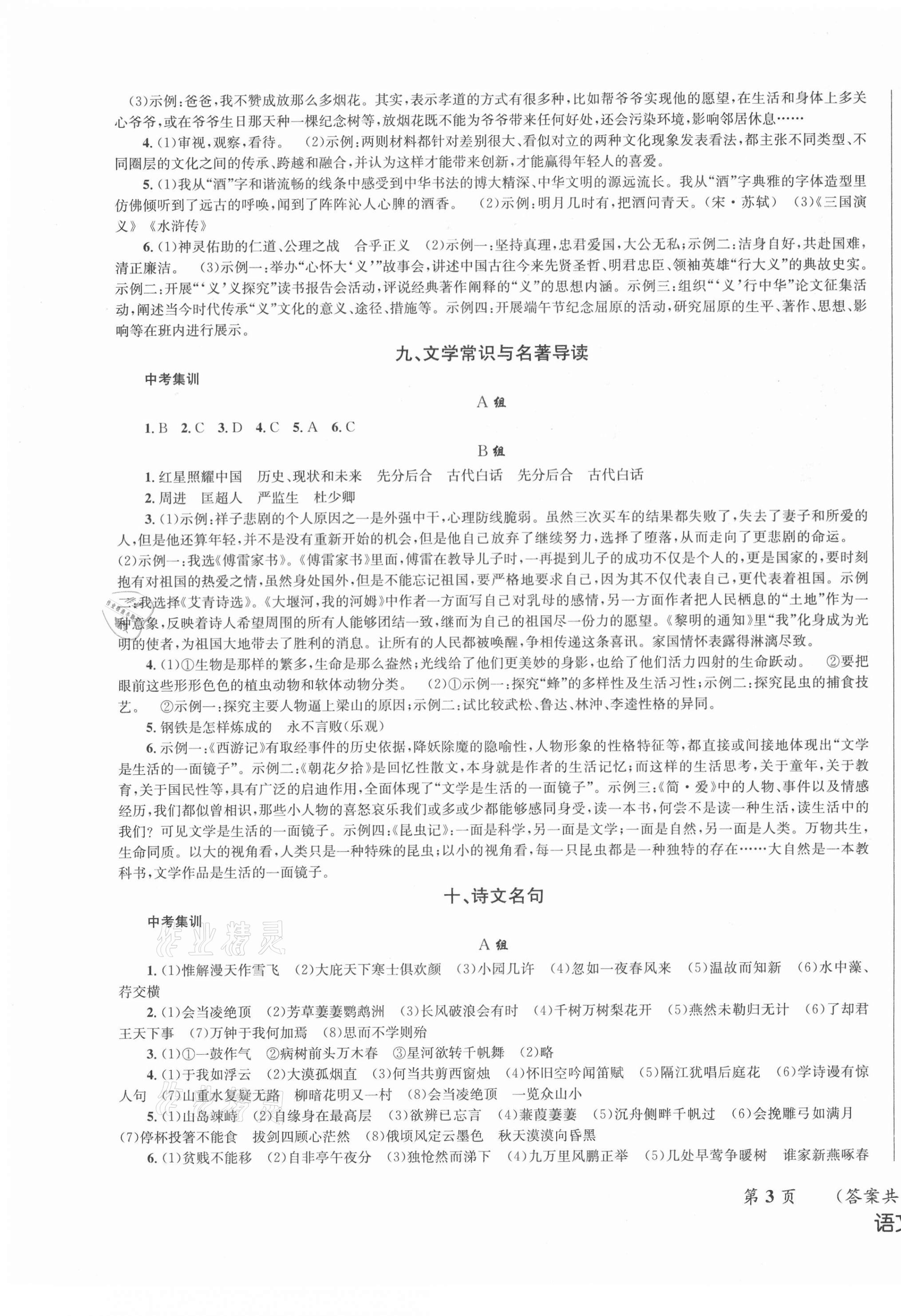 2021年成功中考系统总复习语文 第3页