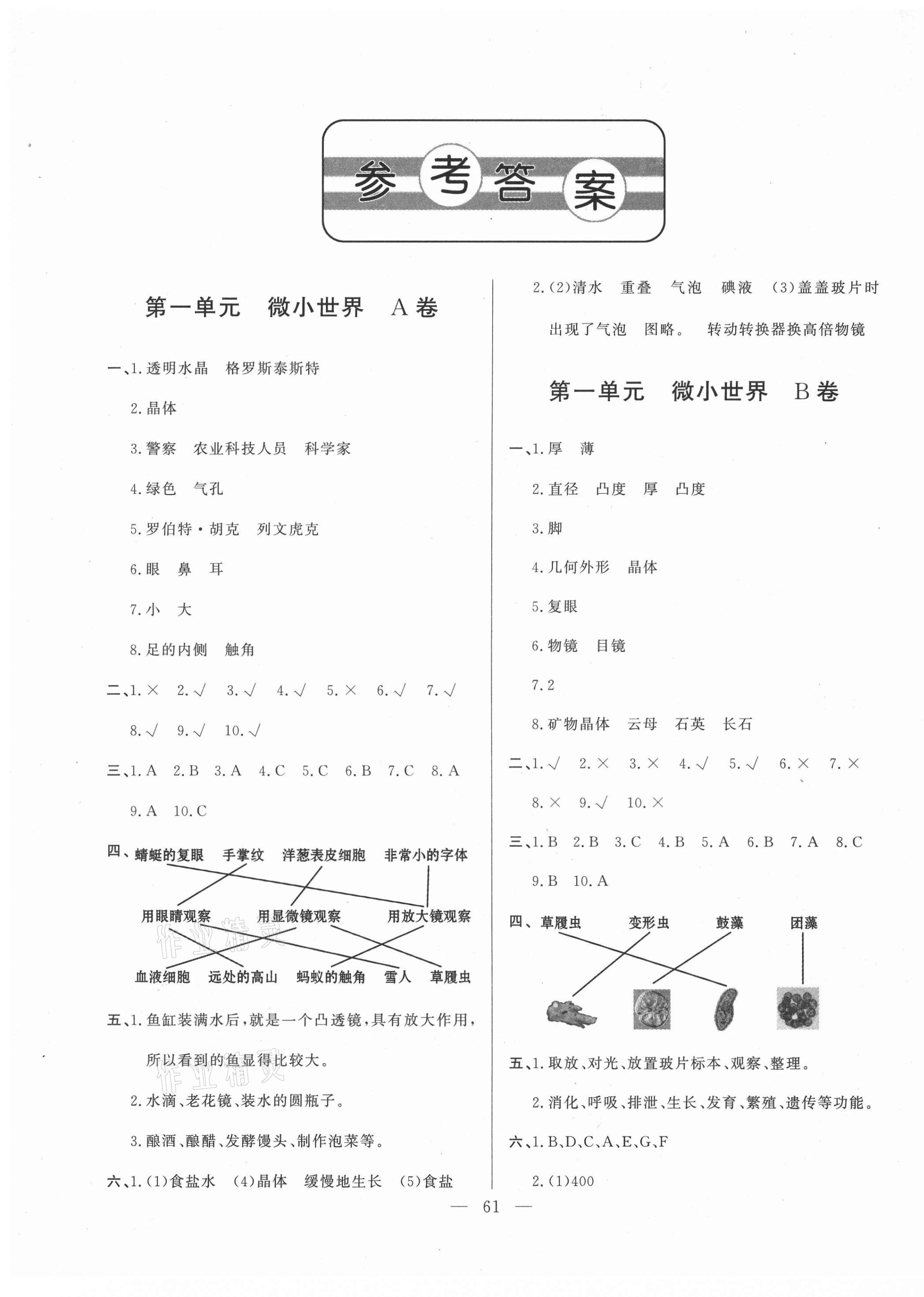 2021年單元測試卷六年級(jí)科學(xué)下冊青島版山東文藝出版社 第1頁