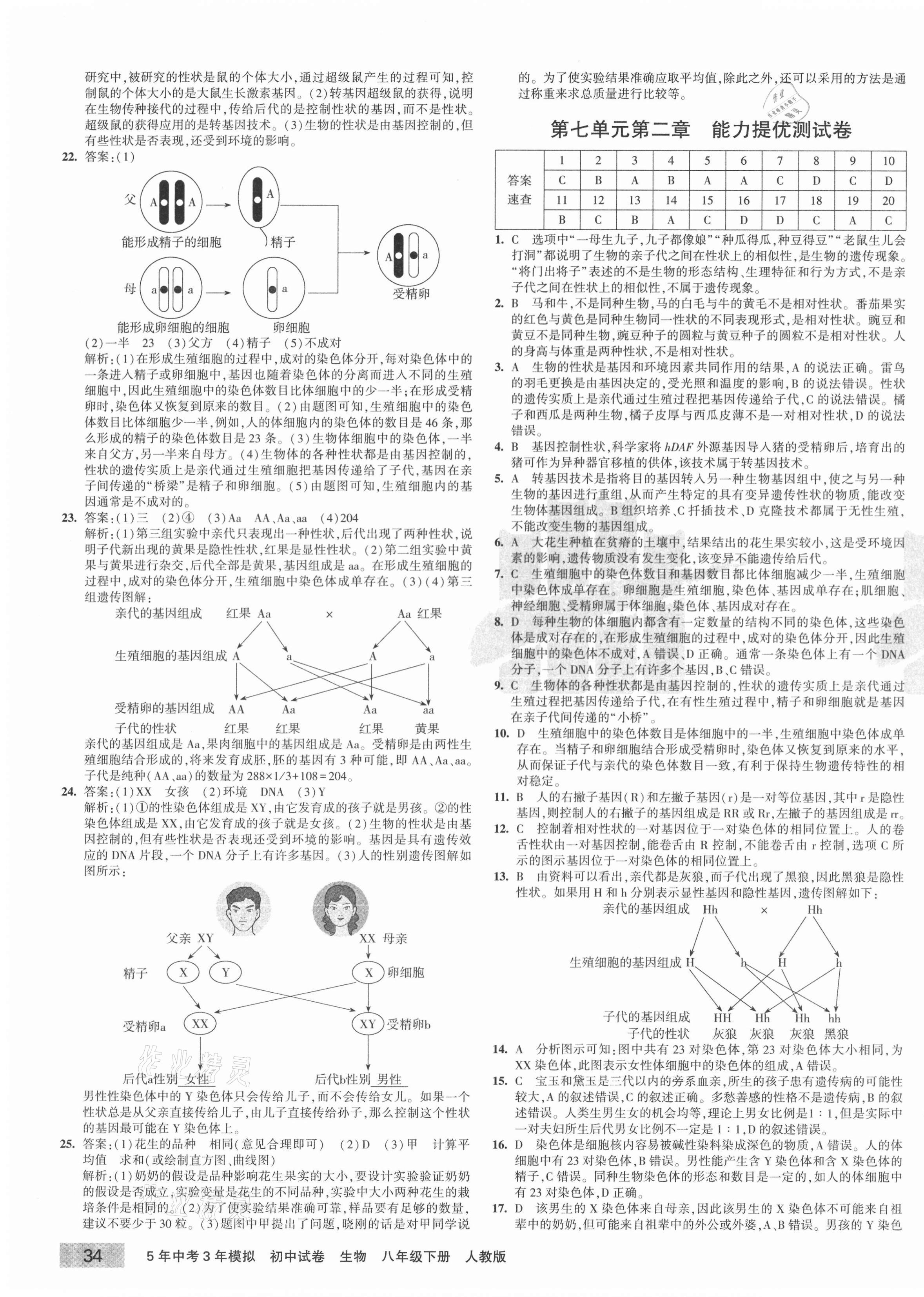 2021年5年中考3年模擬初中試卷八年級(jí)生物下冊(cè)人教版 第3頁