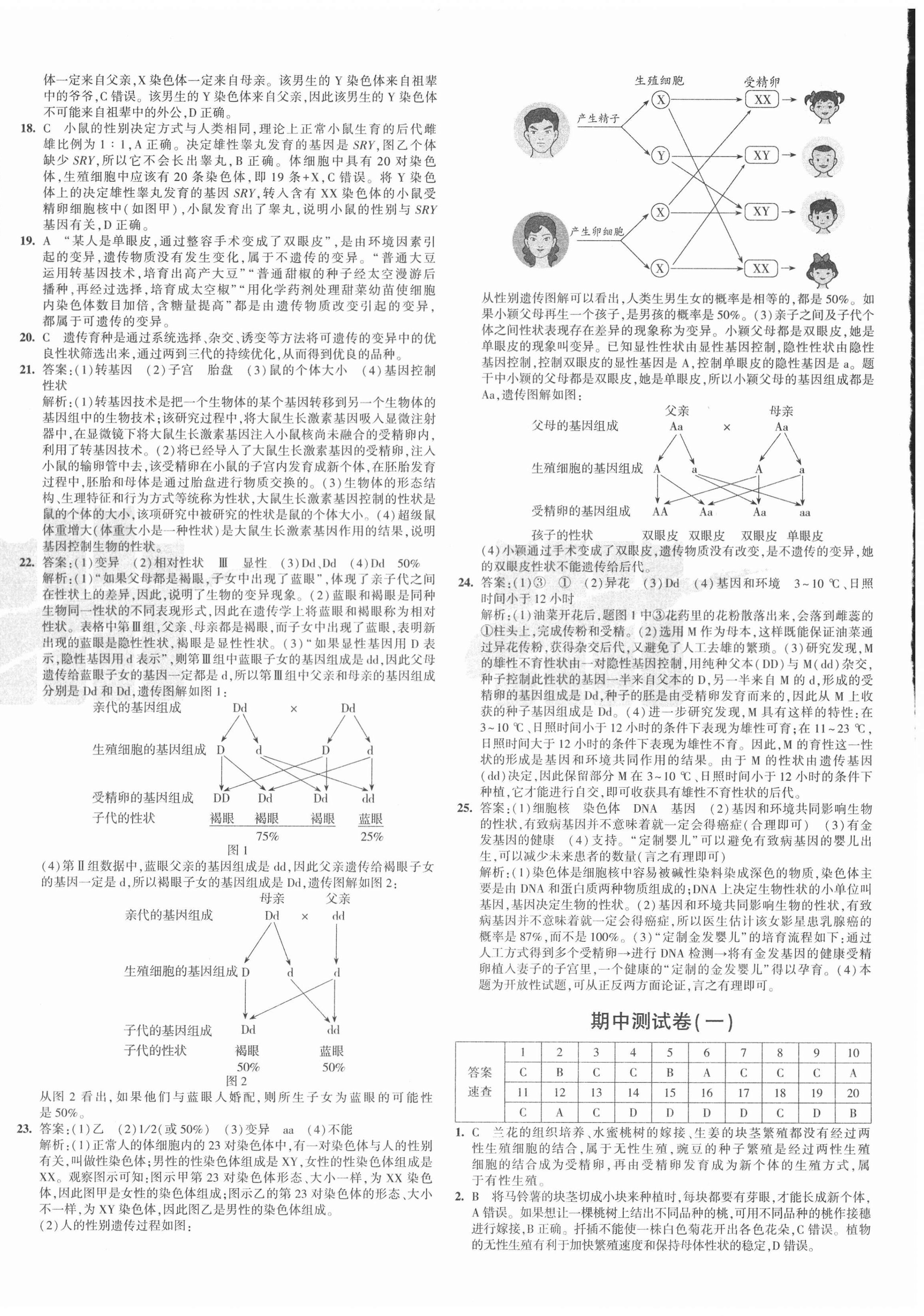 2021年5年中考3年模擬初中試卷八年級生物下冊人教版 第4頁