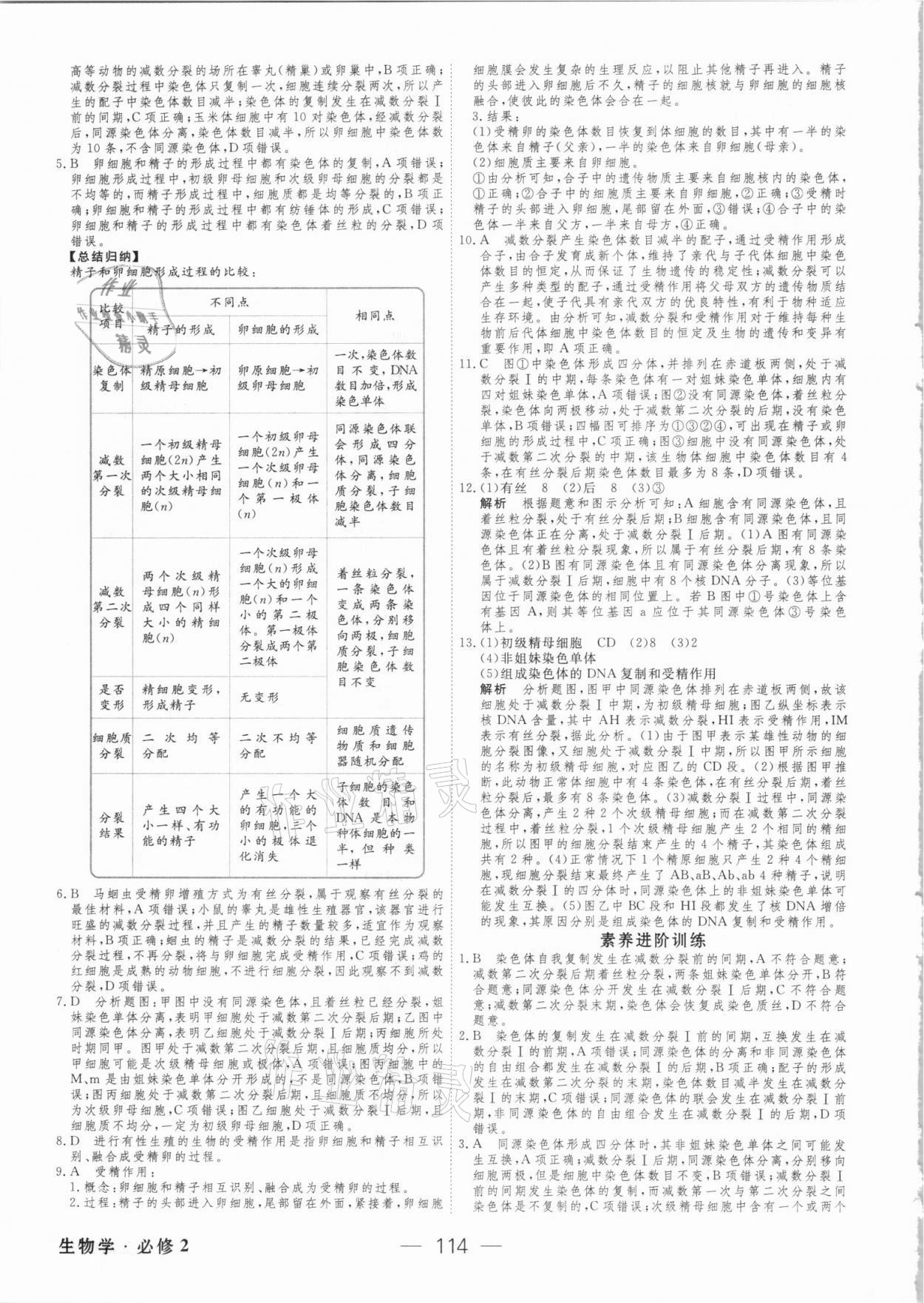 2021年綠色通道45分鐘課時作業(yè)與單元測評生物必修2人教版 參考答案第5頁