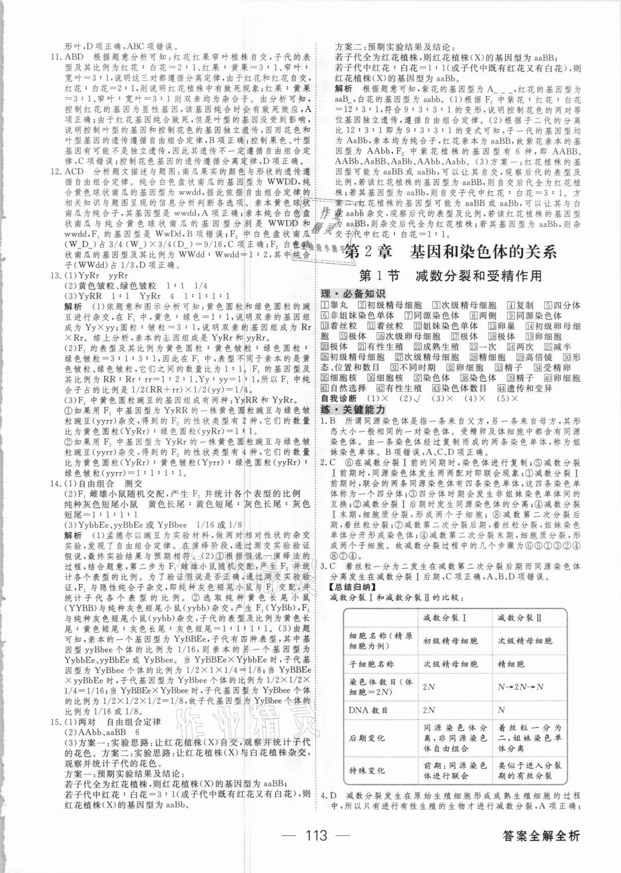 2021年绿色通道45分钟课时作业与单元测评生物必修2人教版 参考答案第4页