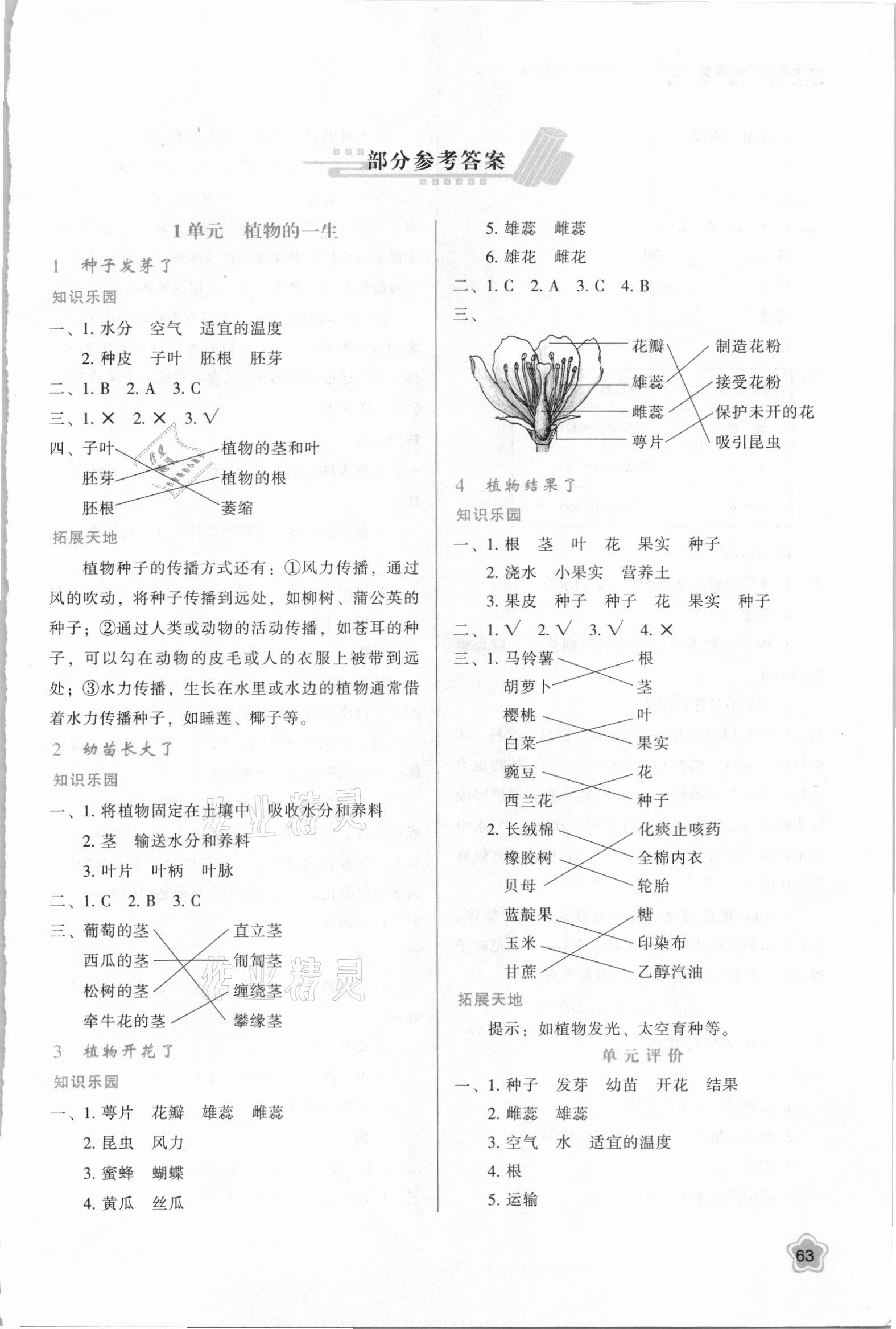 2021年新課程學(xué)習(xí)與評價(jià)三年級(jí)科學(xué)下冊蘇教版 第1頁