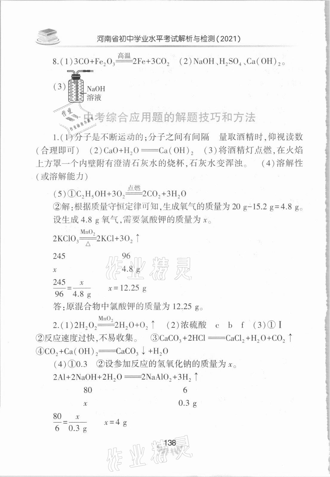 2021年河南省初中学业水平考试解析与检测化学下册 参考答案第3页