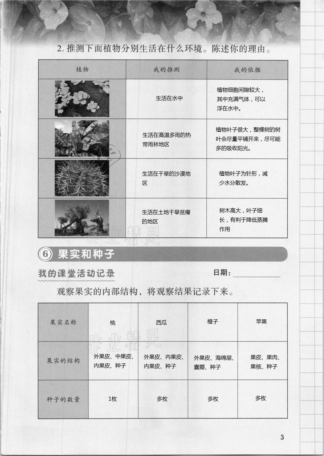 2021年学生活动手册四年级科学下册教科版 第3页