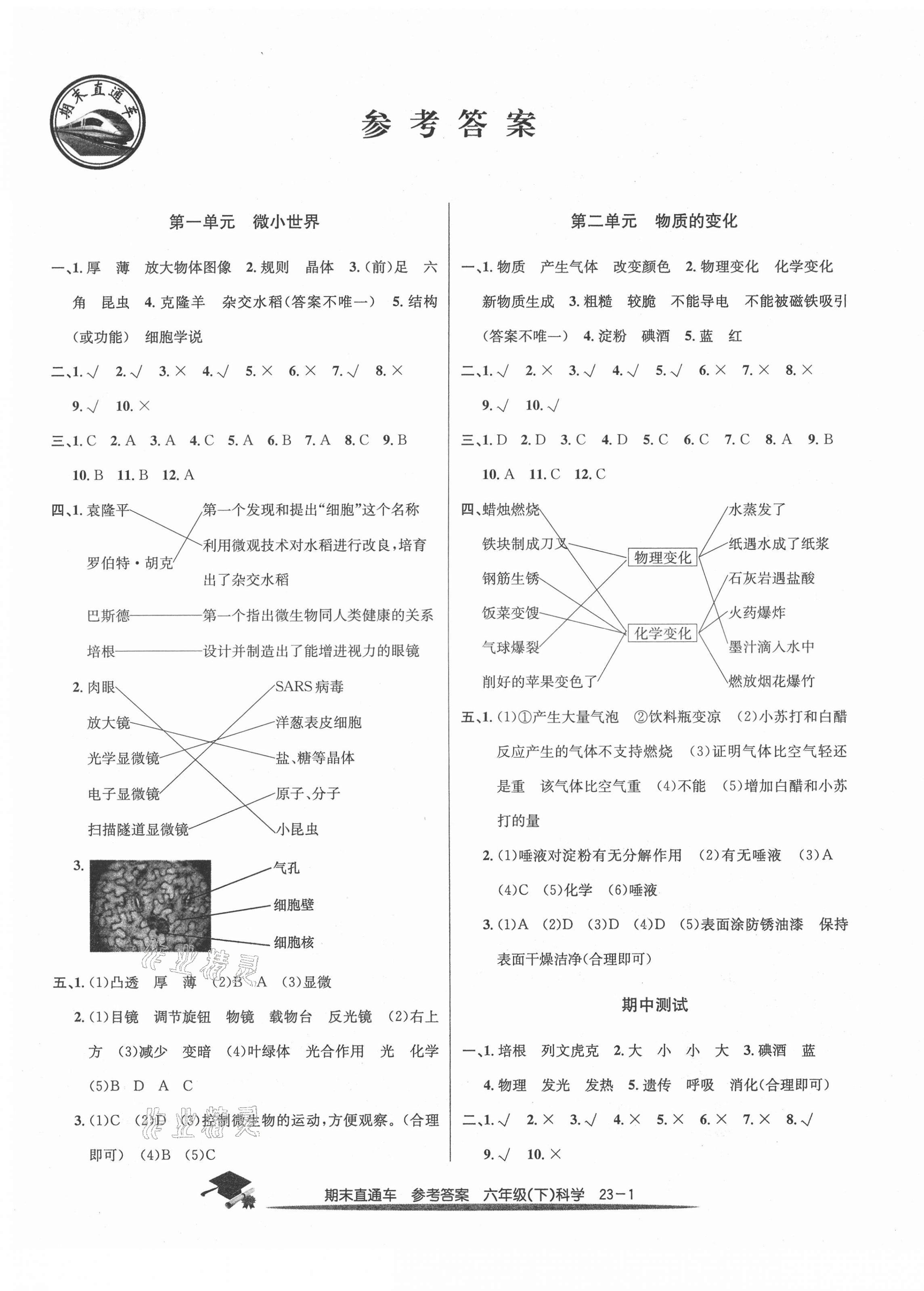 2021年期末直通車六年級科學(xué)下冊教科版 第1頁