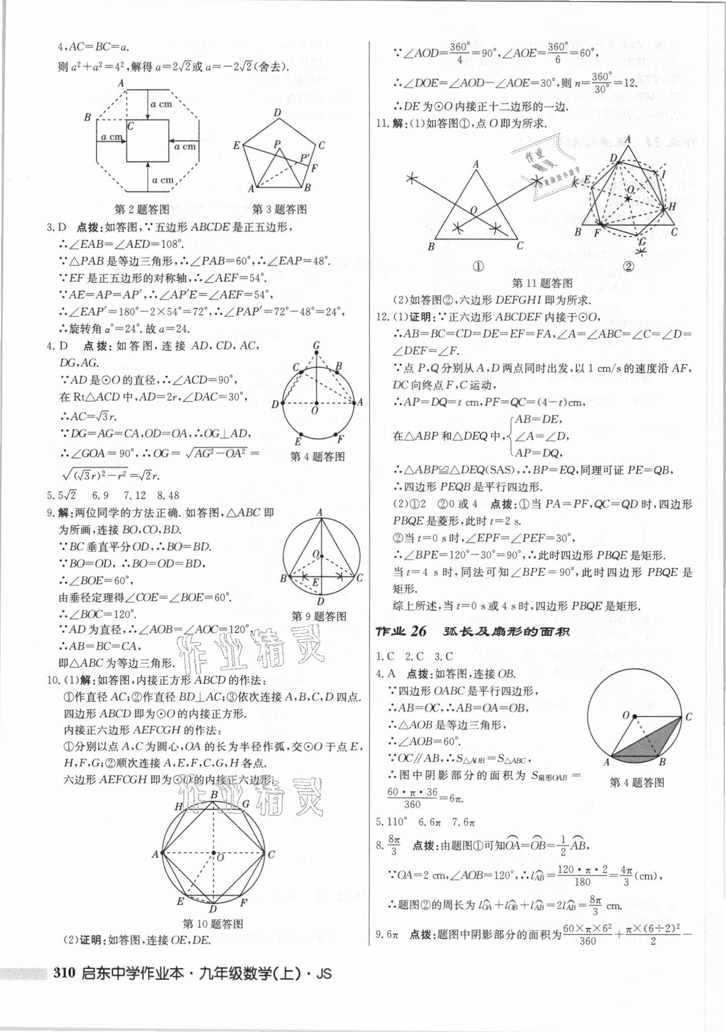 2021年启东中学作业本九年级数学上册江苏版 第24页