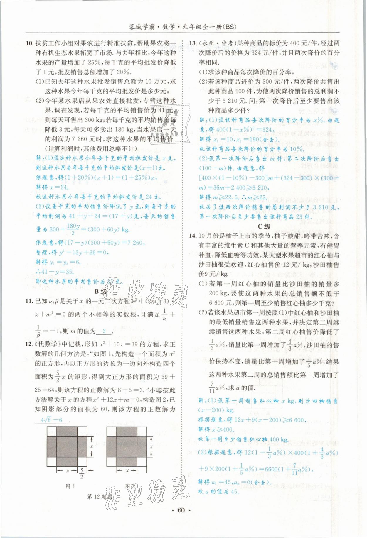 2021年蓉城学霸九年级数学全一册北师大版 参考答案第59页