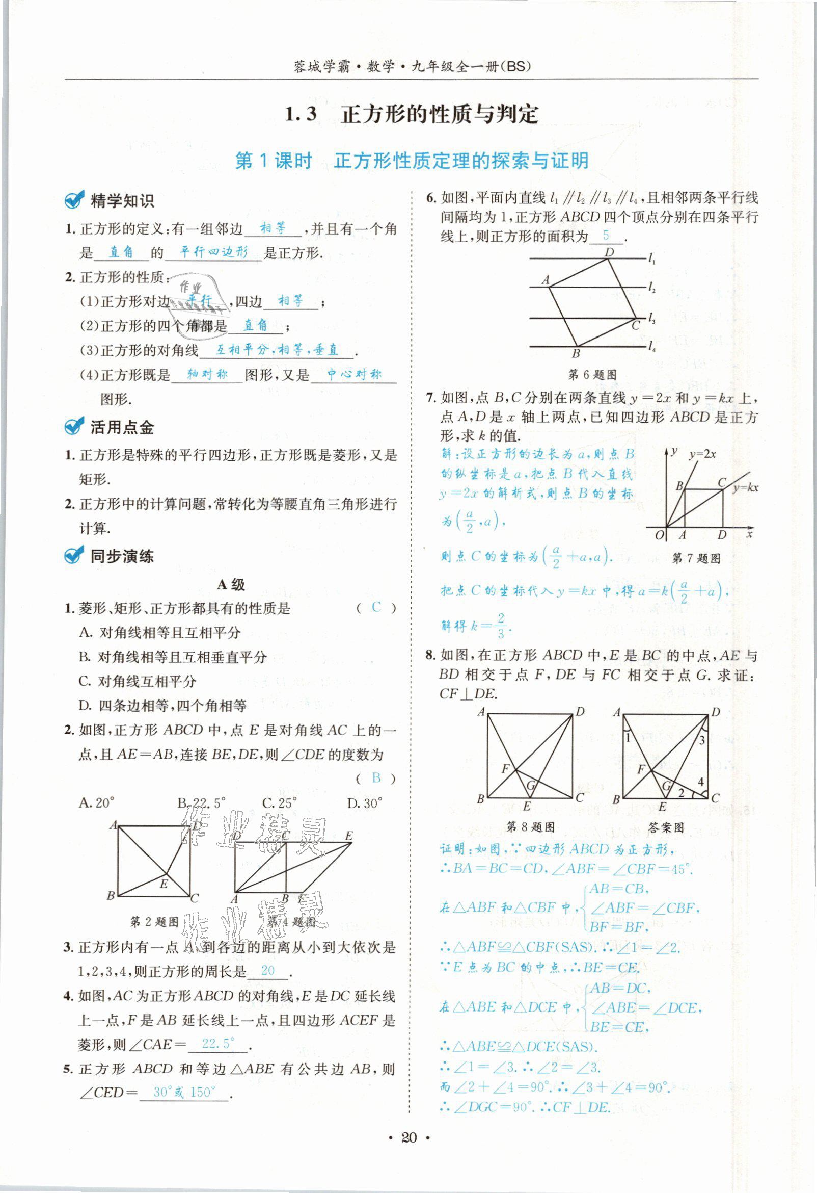 2021年蓉城学霸九年级数学全一册北师大版 参考答案第19页