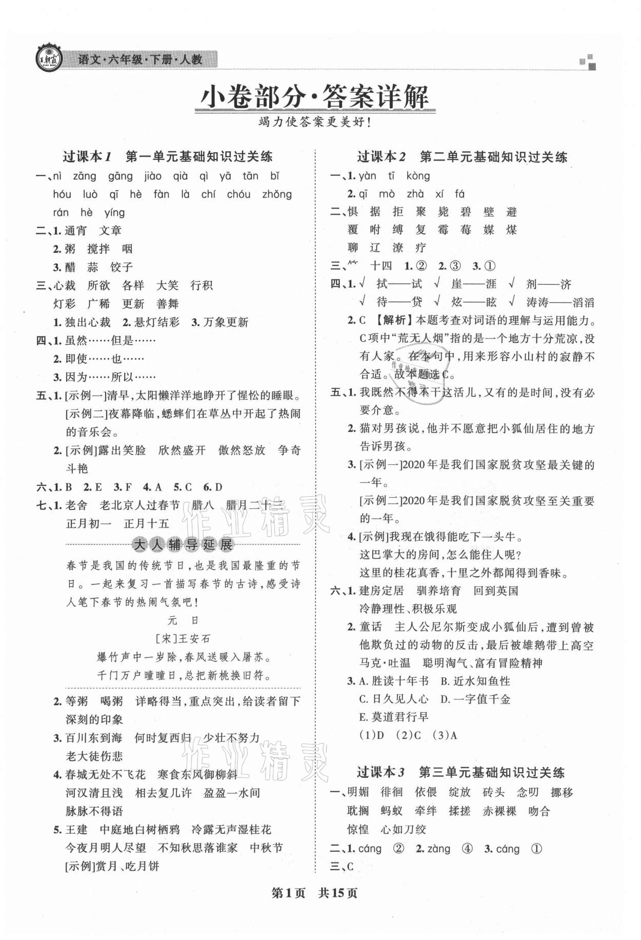 2021年王朝霞期末真題精編六年級語文下冊人教版安濮專版 參考答案第1頁