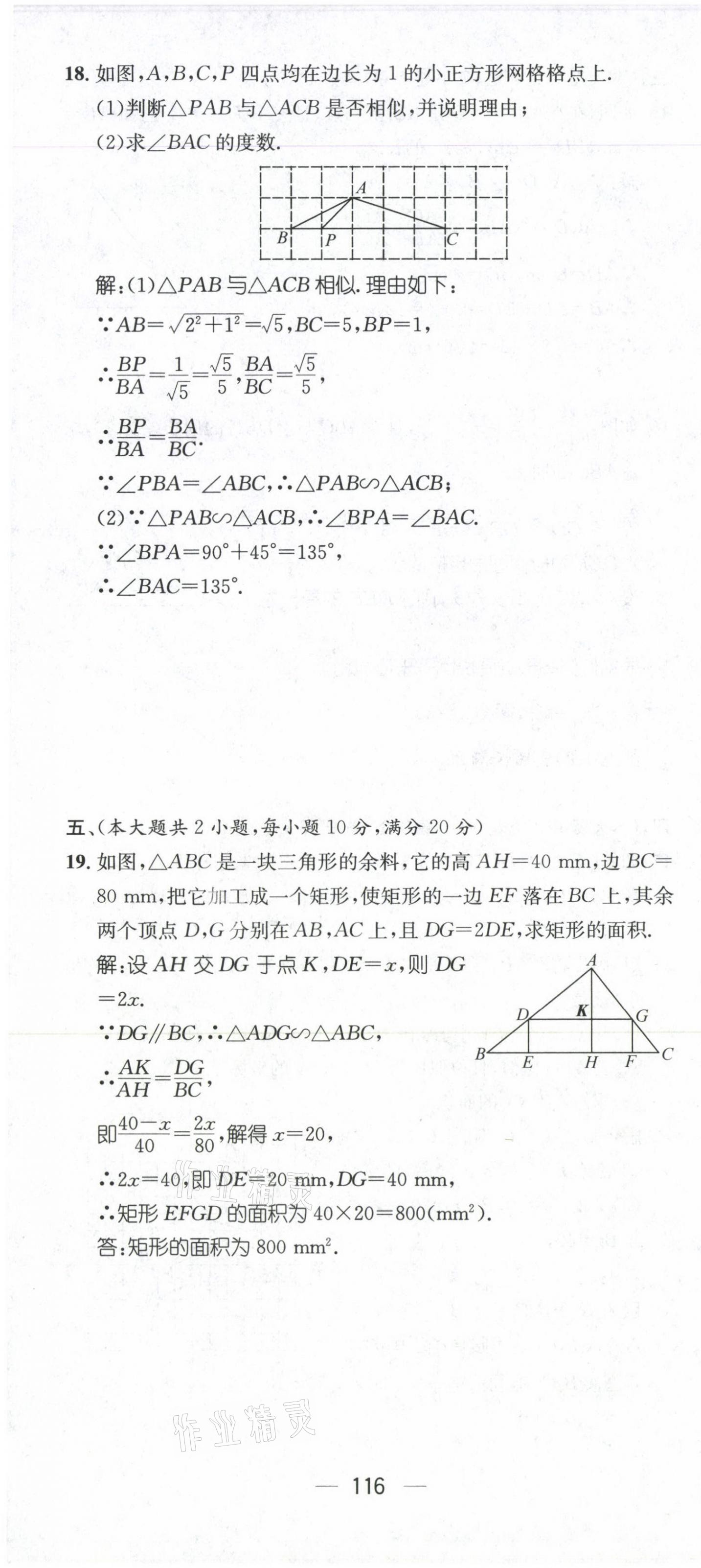 2021年名师测控九年级数学上册沪科版安徽专版 参考答案第25页