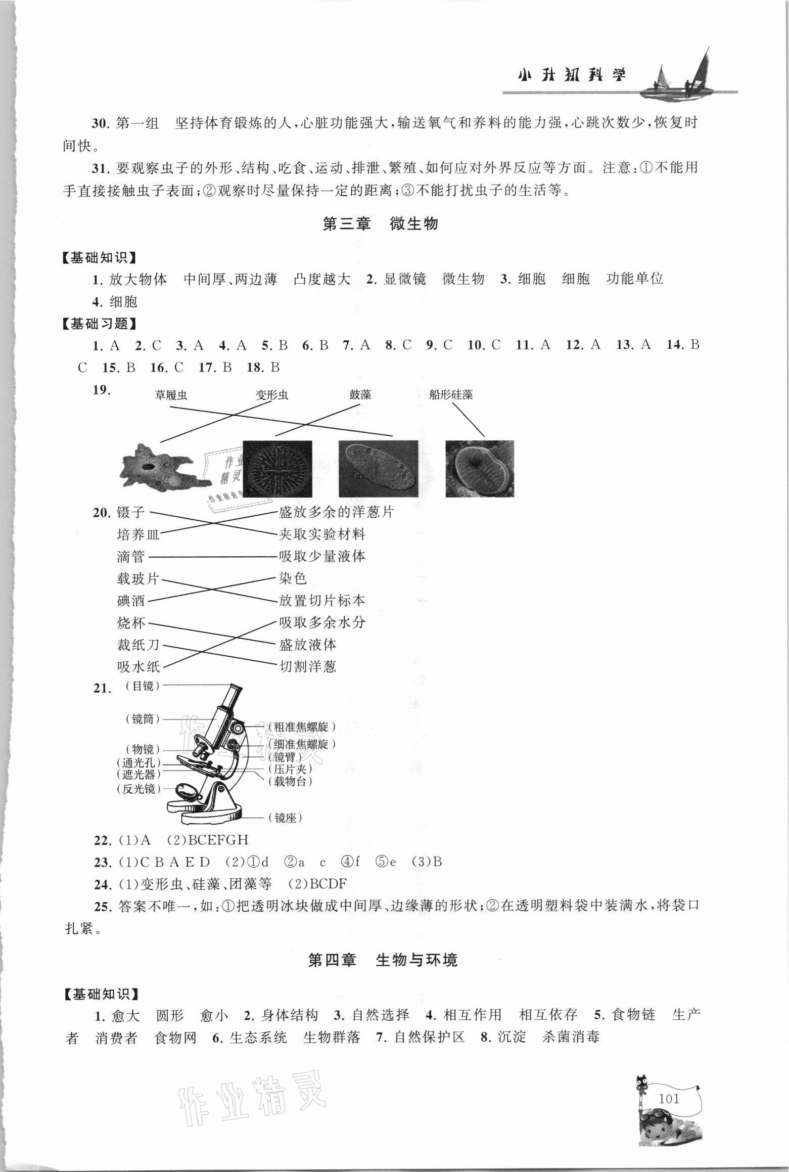 2021年暑假大串联六年级科学教科版 参考答案第4页