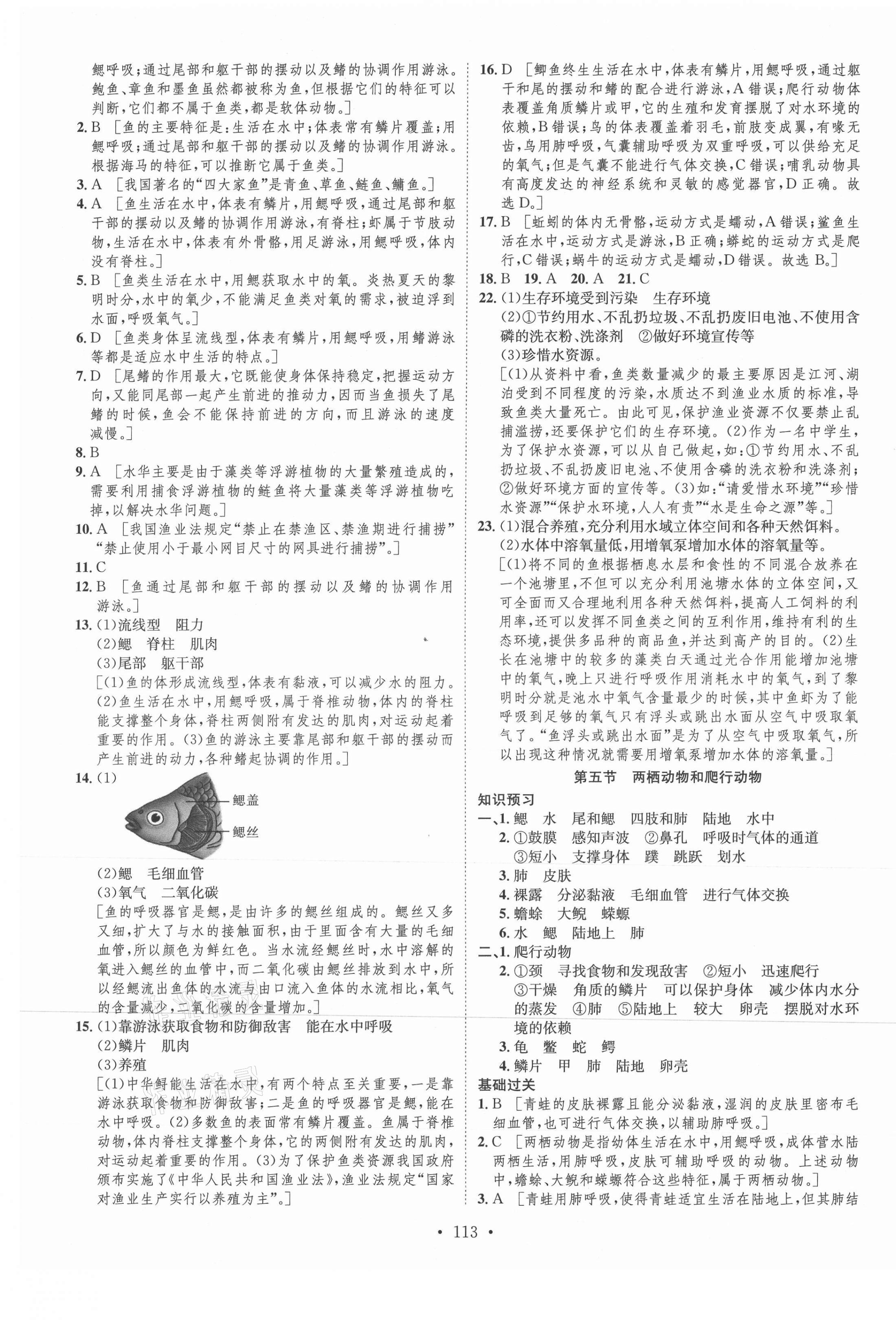 2021年思路教練同步課時(shí)作業(yè)八年級(jí)生物上冊(cè)人教版 第5頁(yè)