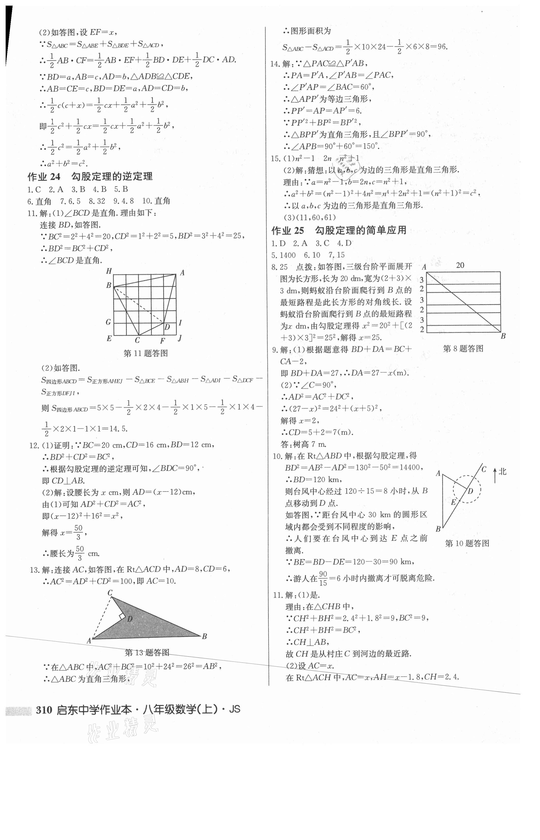2021年启东中学作业本八年级数学上册江苏版 第20页