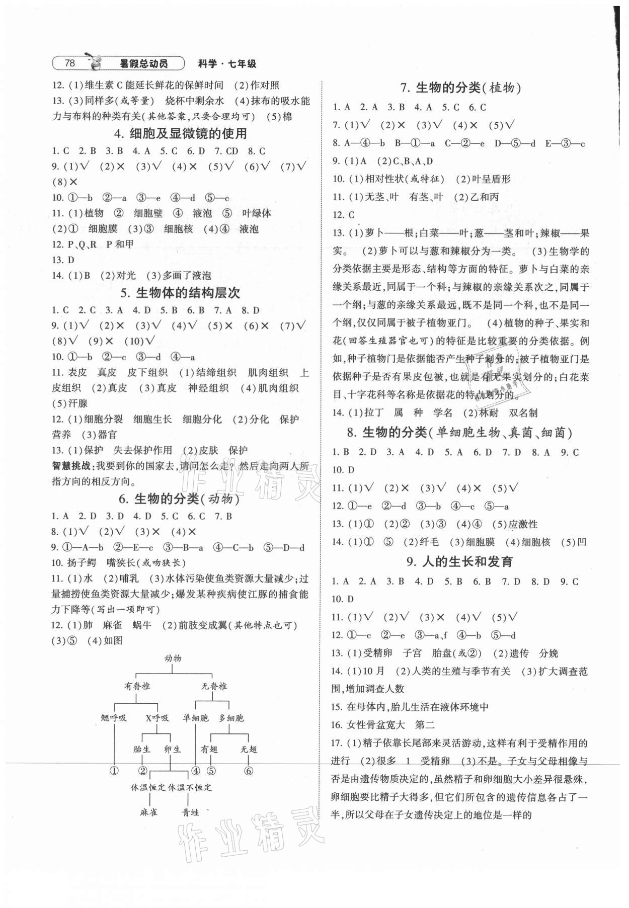 2021年暑假总动员七年级科学浙教版宁夏人民教育出版社 第2页