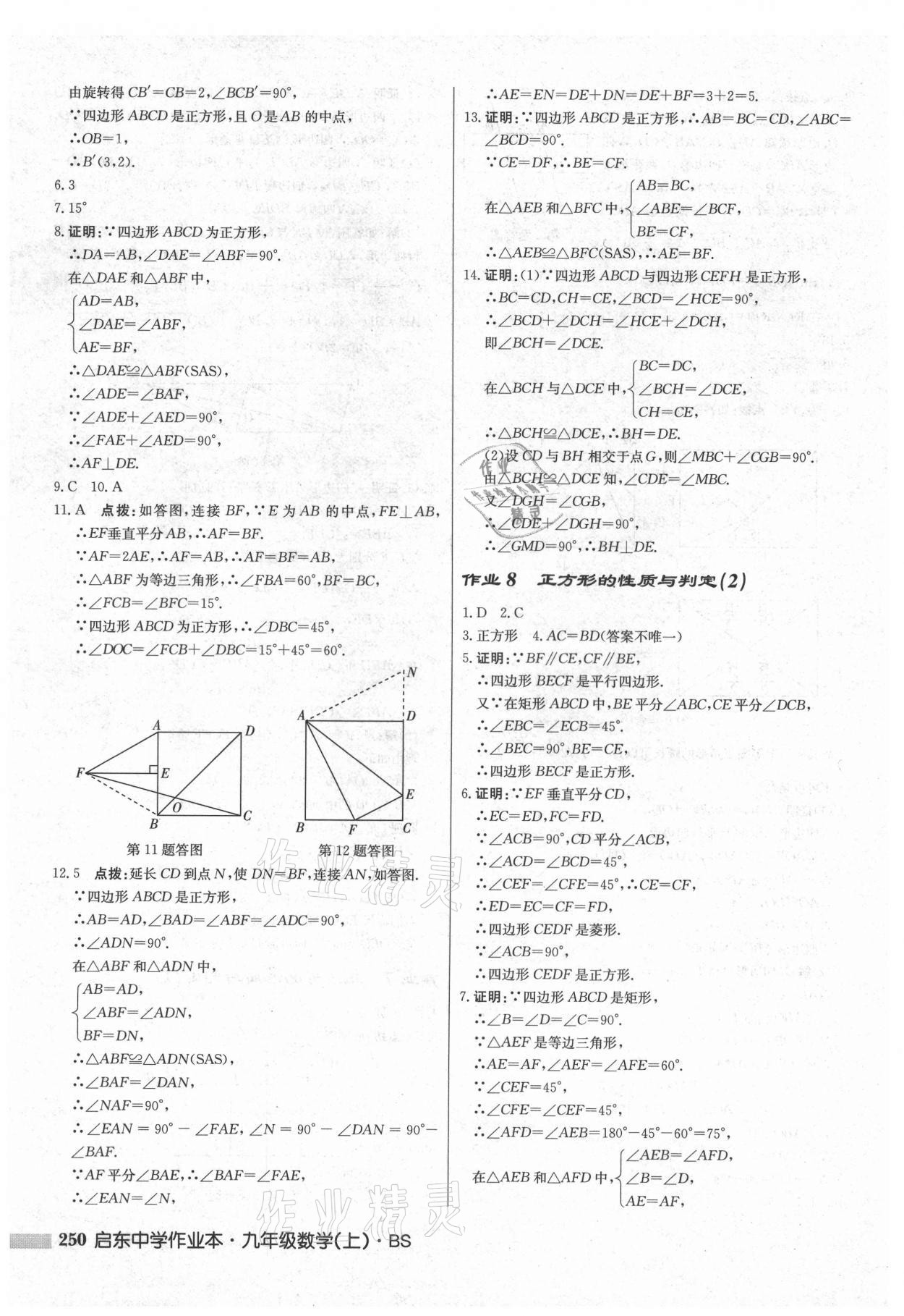 2021年启东中学作业本九年级数学上册北师大版 第8页