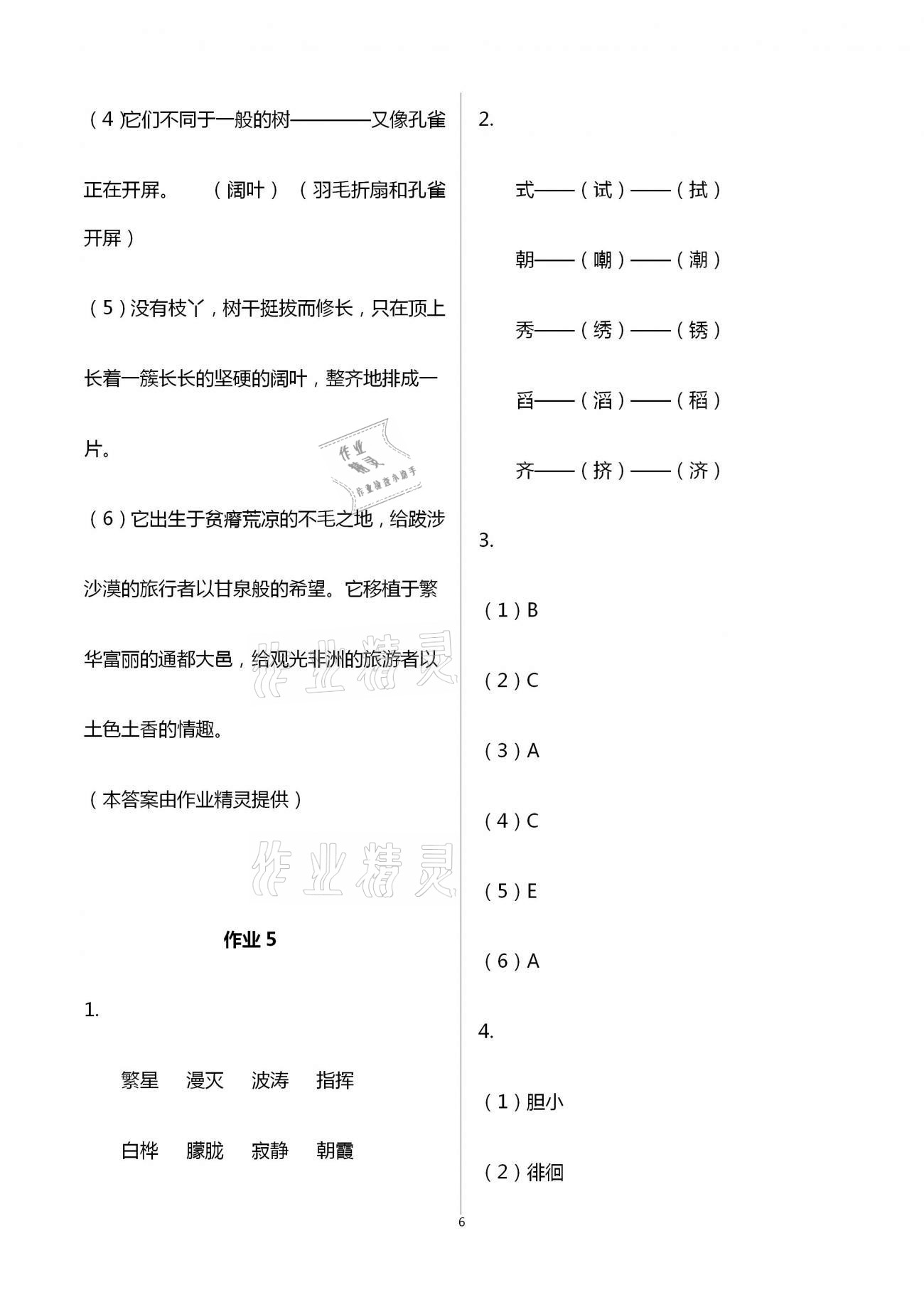 2021年七彩假日快乐假期暑假作业四年级语文人教版 第6页