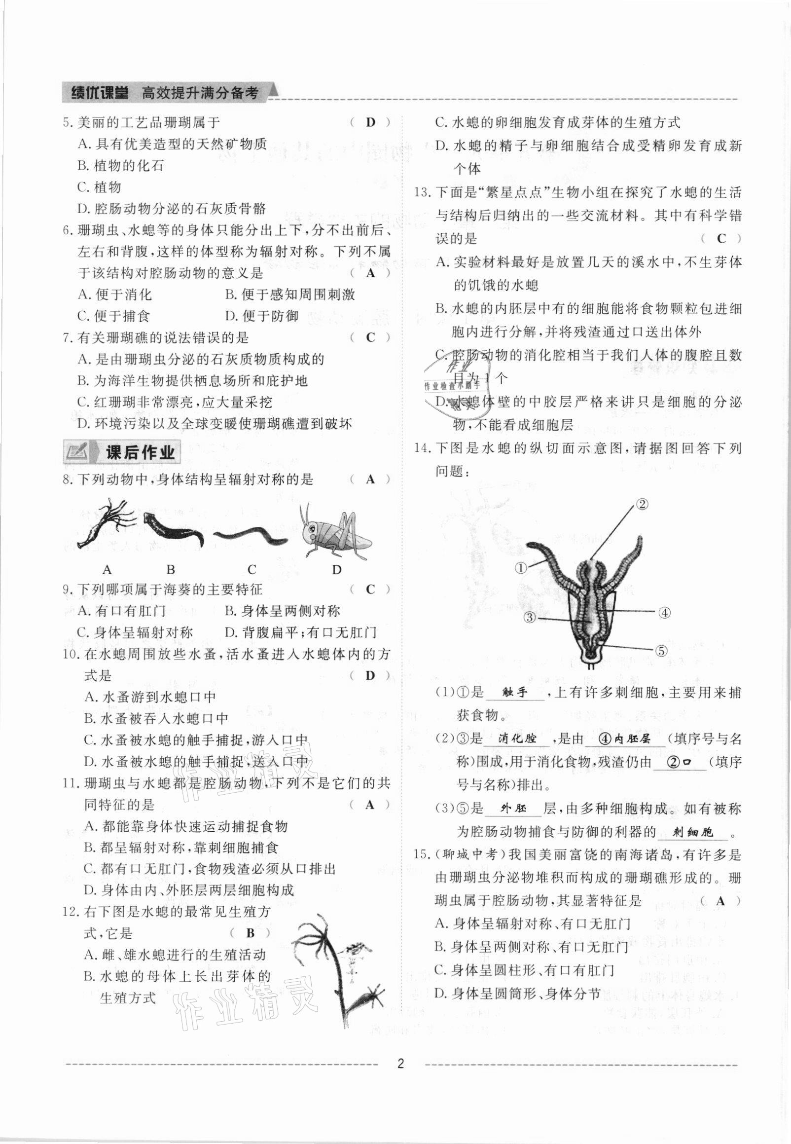 2021年绩优课堂高效提升满分备考八年级生物上册人教版 参考答案第2页