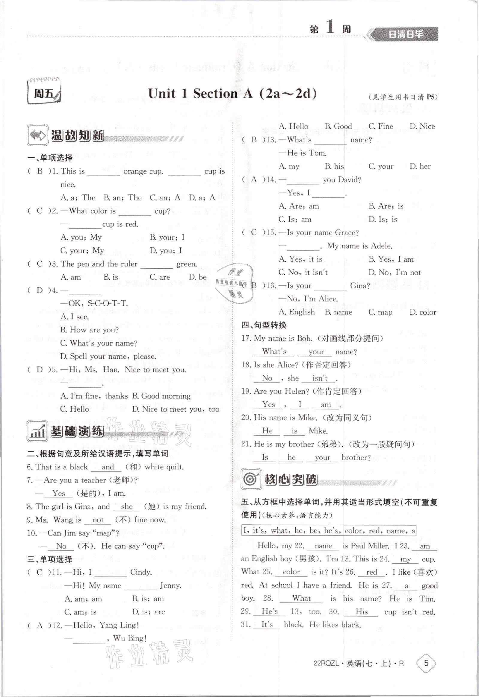 2021年日清周練七年級英語上冊人教版 參考答案第5頁