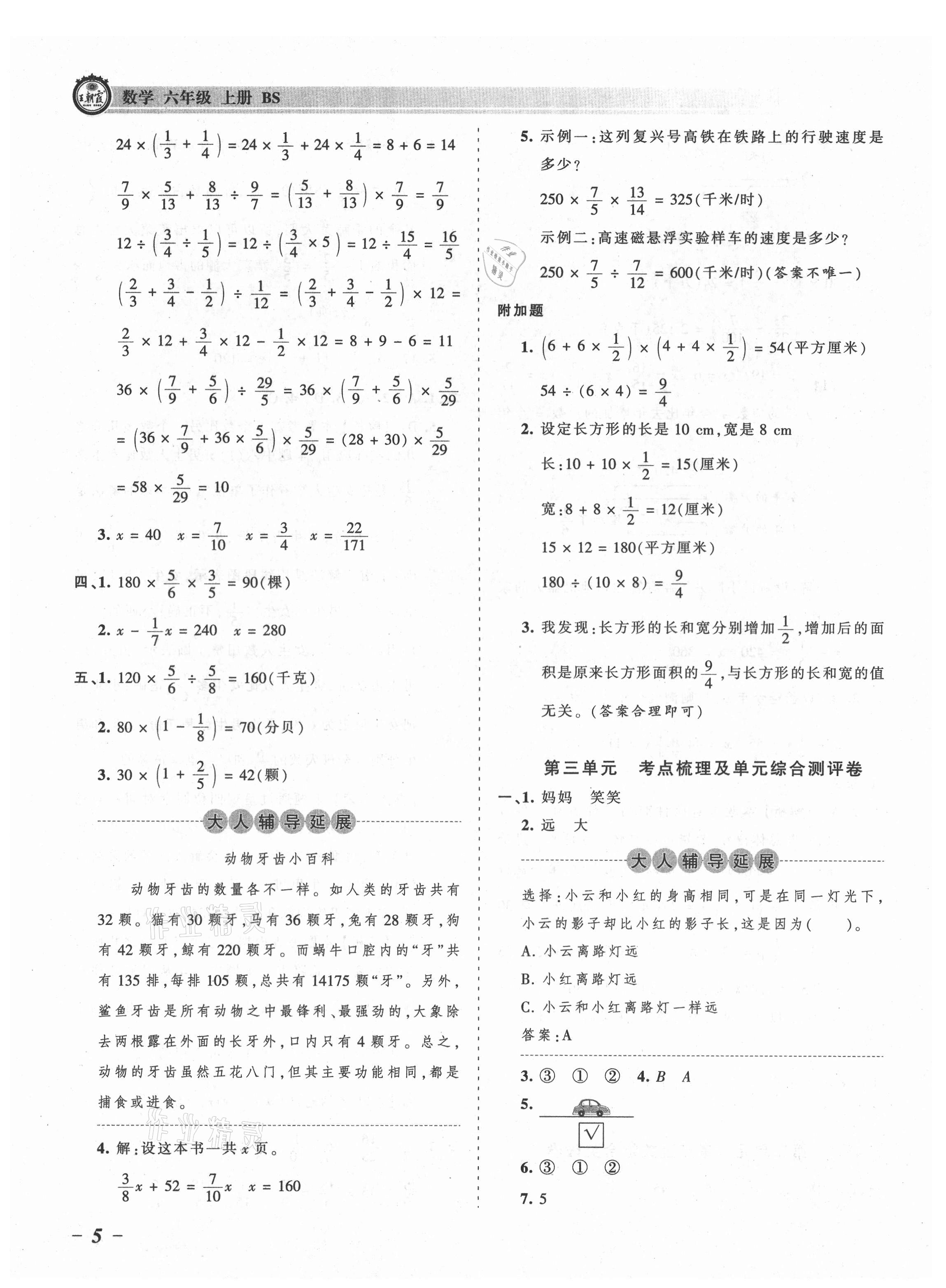 2021年王朝霞考点梳理时习卷六年级数学上册北师大版 参考答案第5页