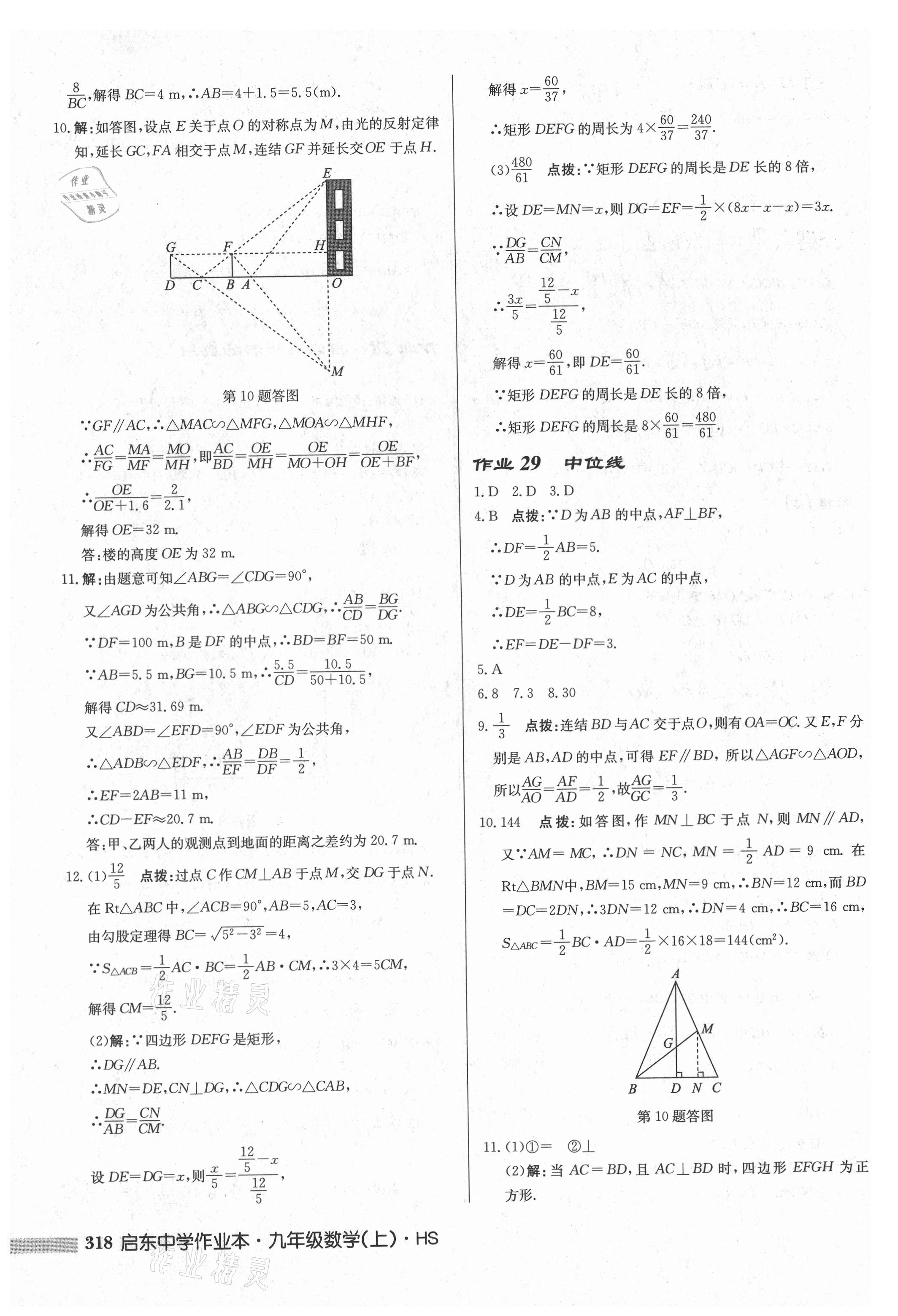 2021年启东中学作业本九年级数学上册华师大版吉林专版 第20页