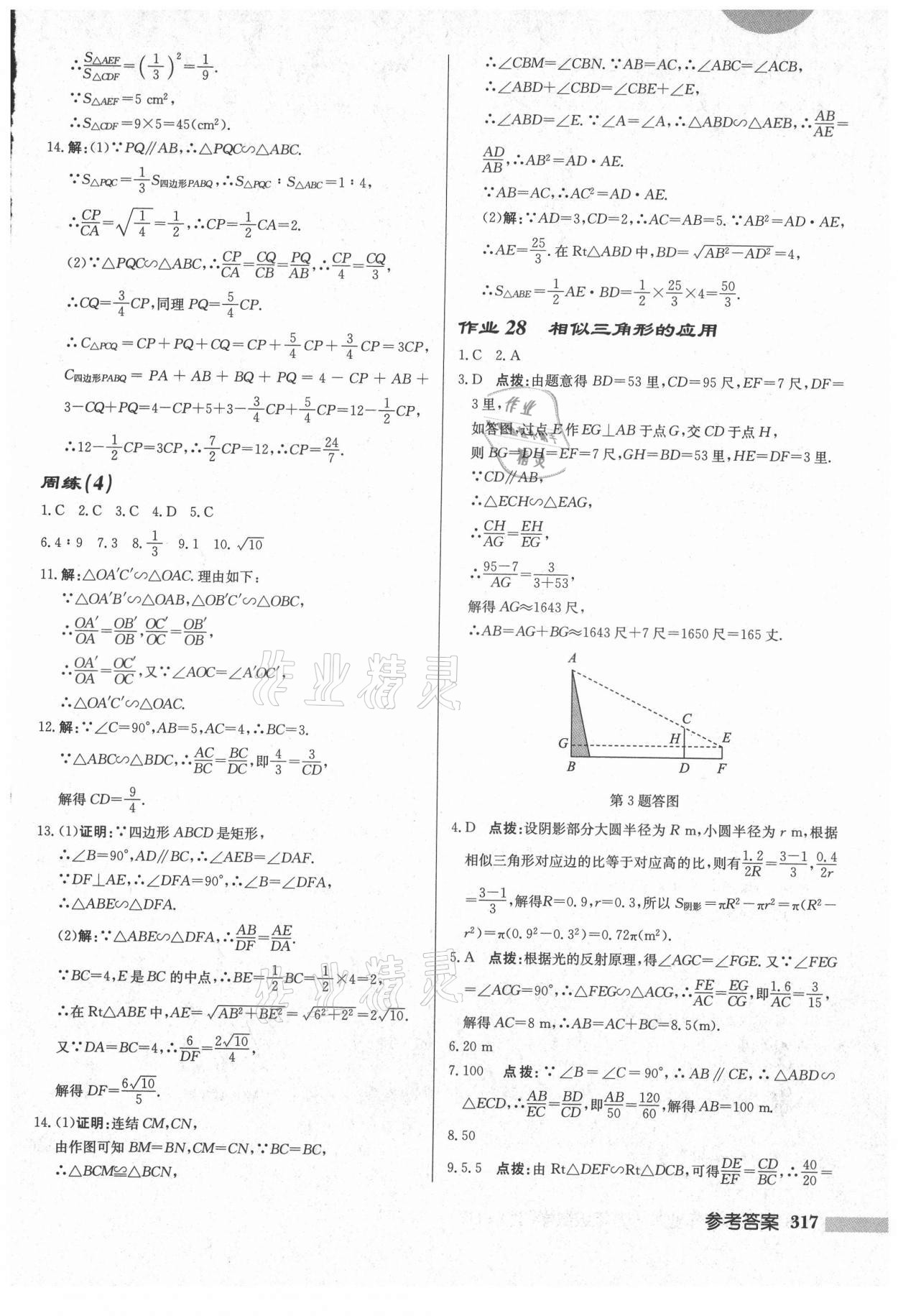 2021年启东中学作业本九年级数学上册华师大版吉林专版 第19页
