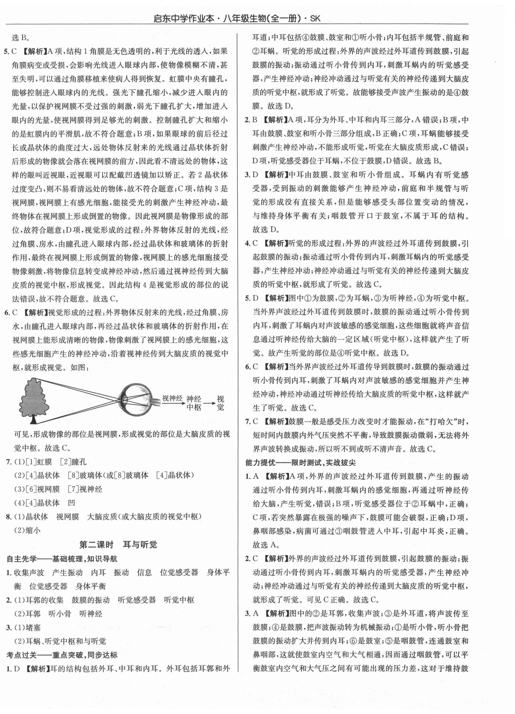 2021年启东中学作业本八年级生物全一册苏科版 第12页