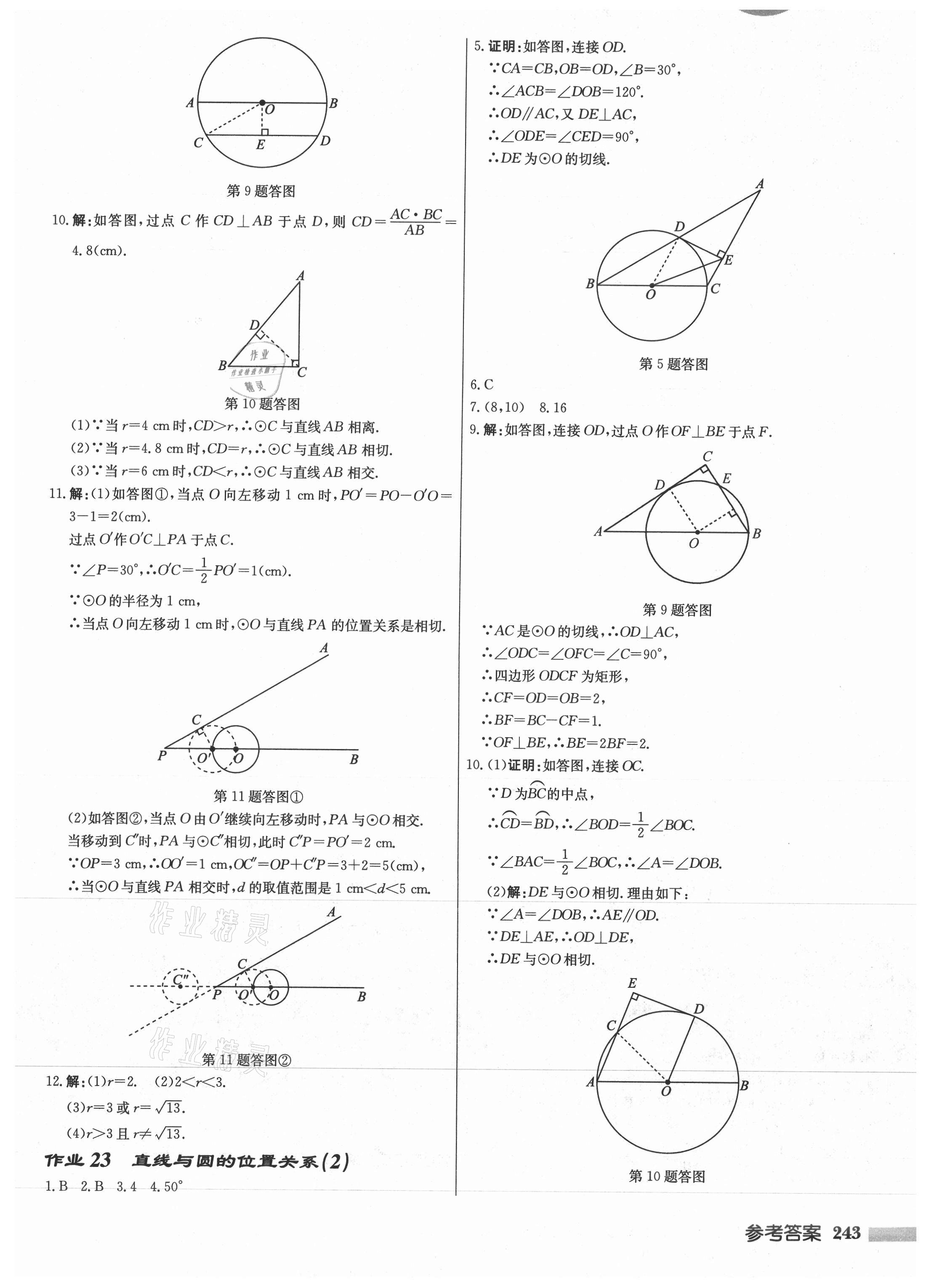 2021年启东中学作业本九年级数学上册苏科版徐州专版 第15页
