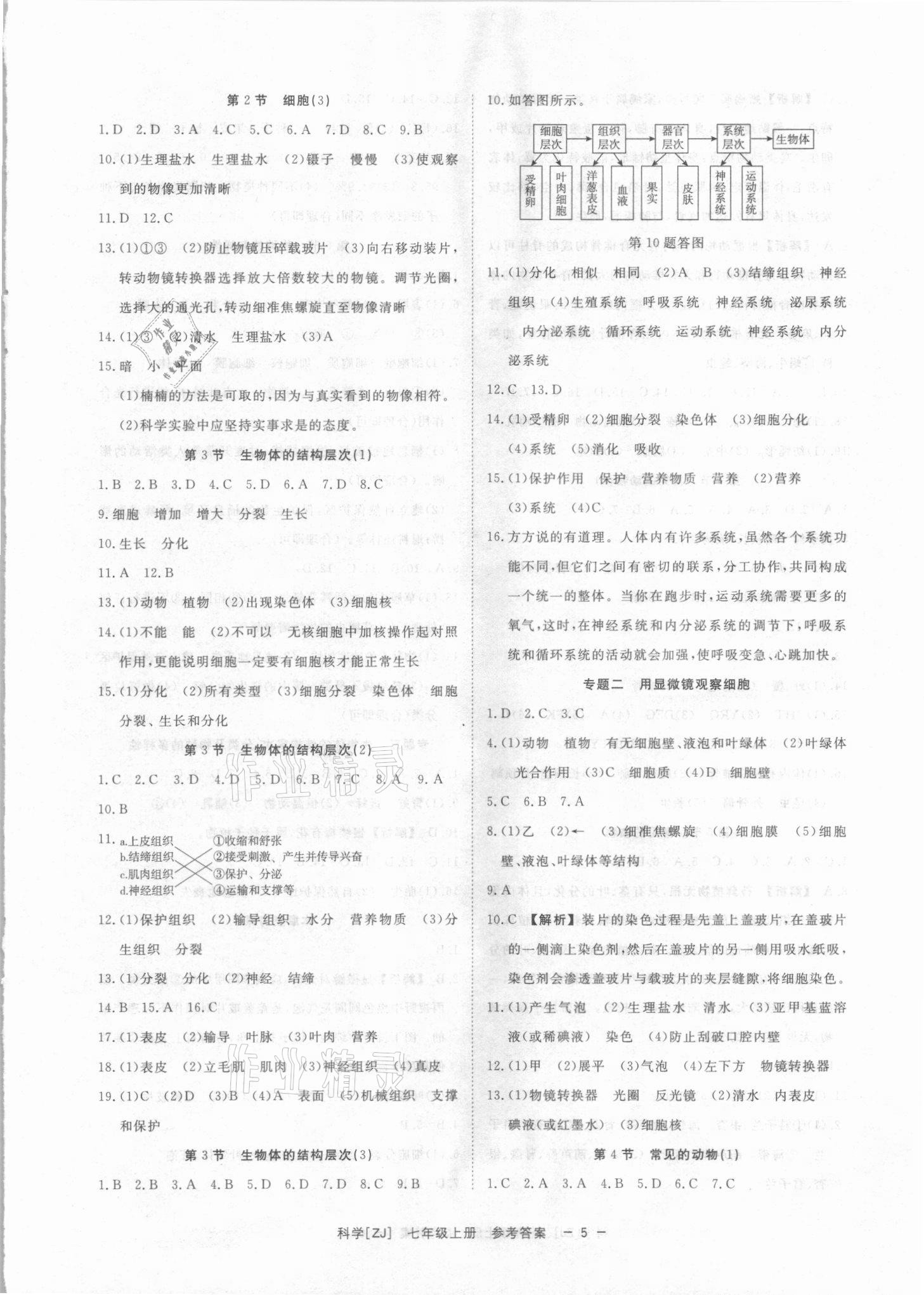 2021年全效学习七年级科学上册浙教版精华版 参考答案第4页