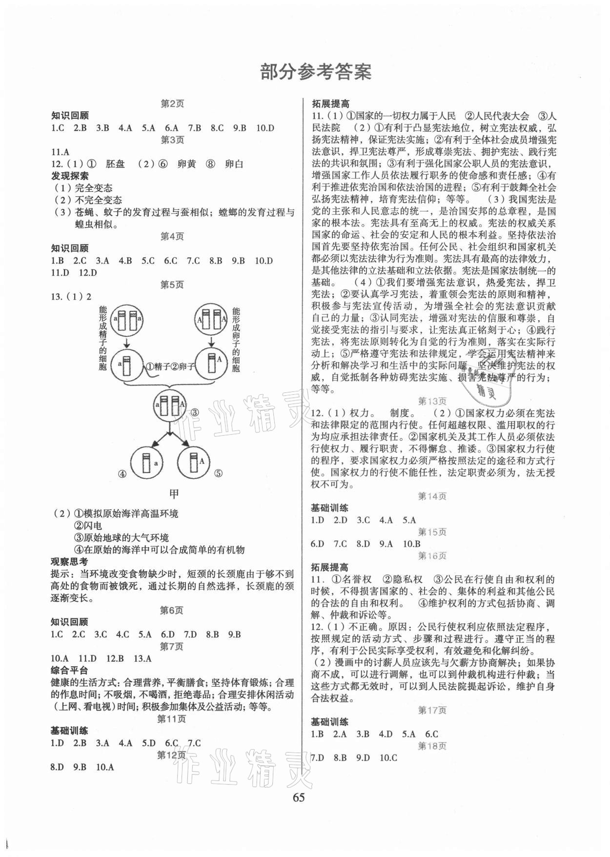 2021年假日综合八年级吉林出版集团有限责任公司 第1页