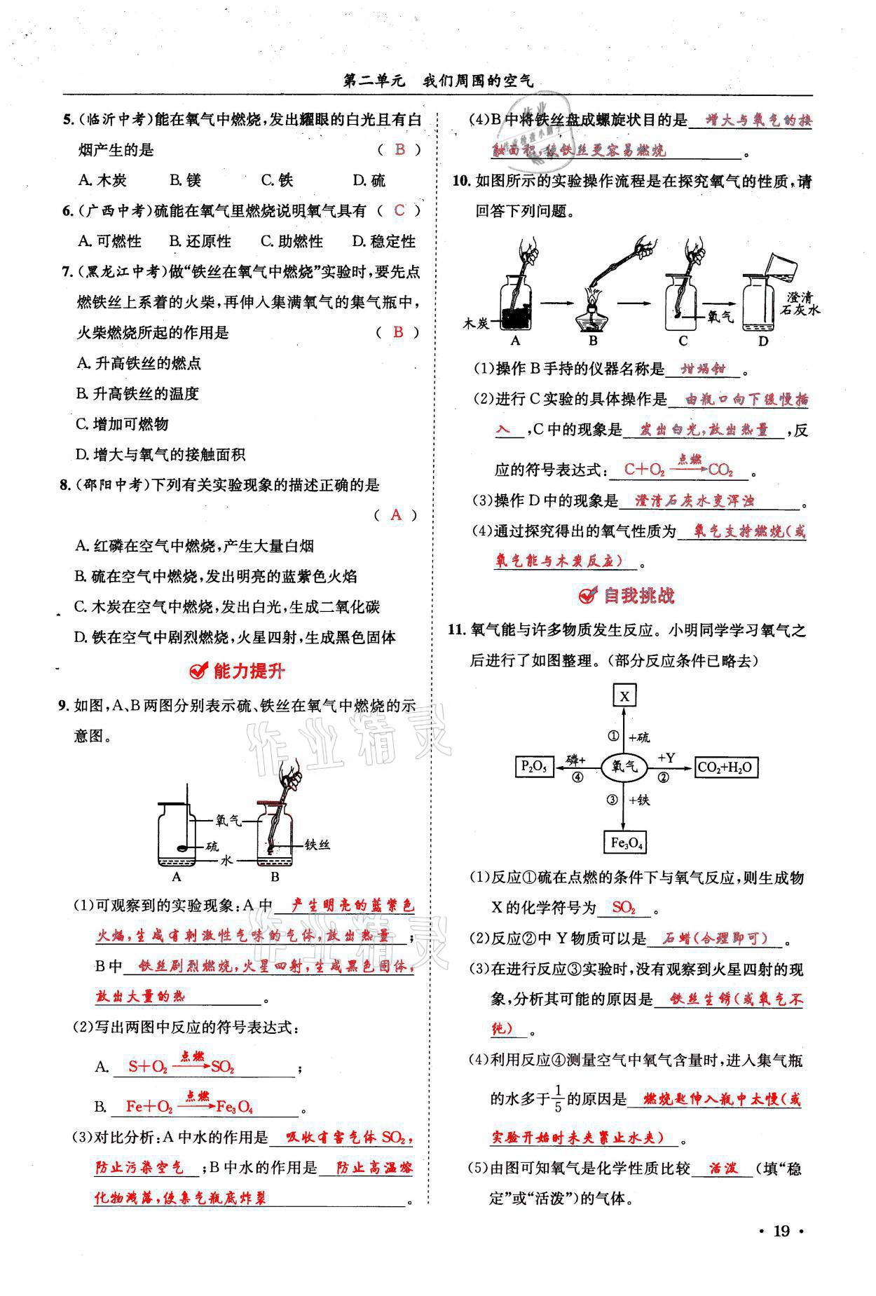 2021年蓉城学霸九年级化学上册人教版 参考答案第19页