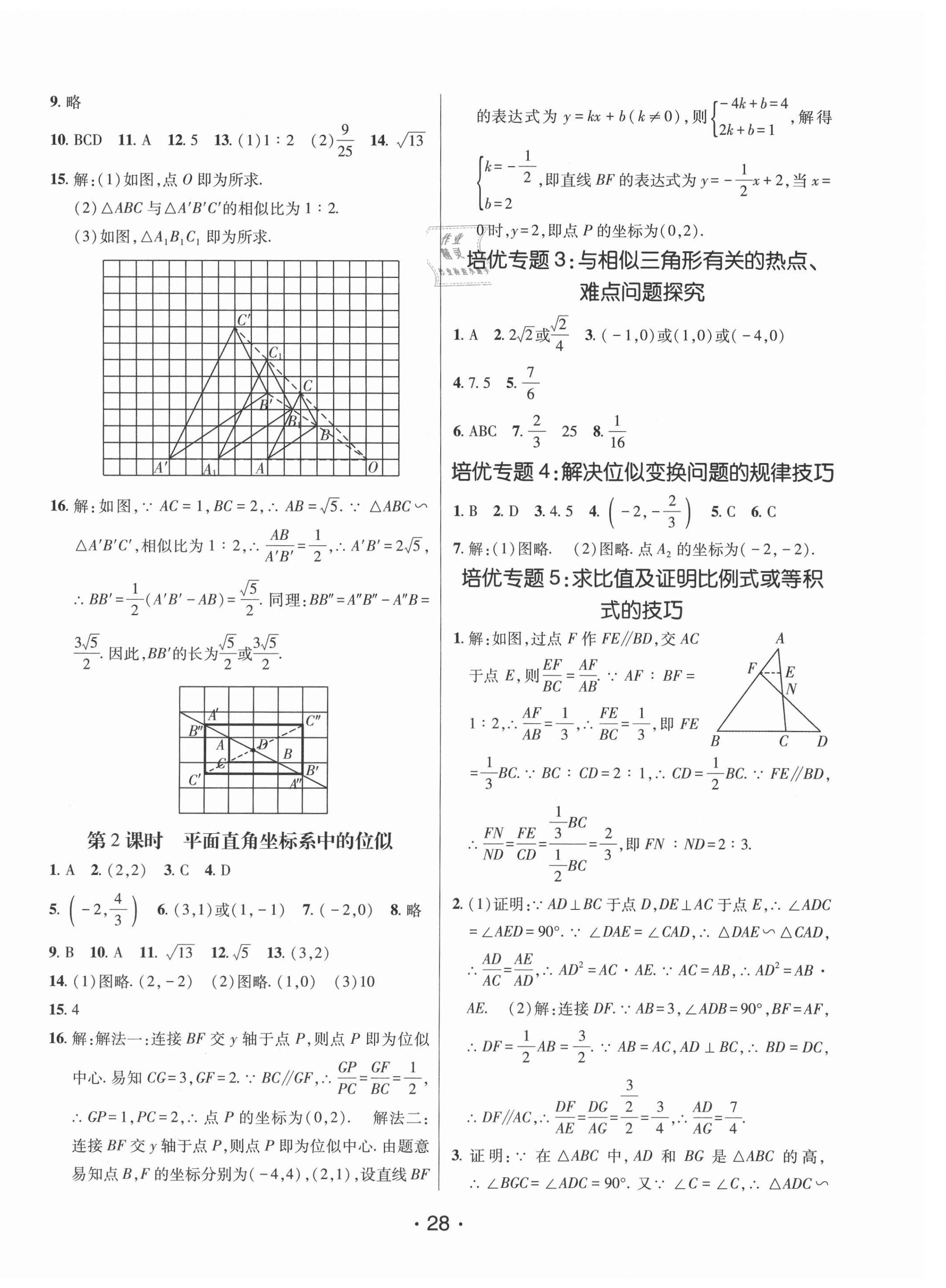 2021年同行学案学练测九年级数学上册青岛版 第4页