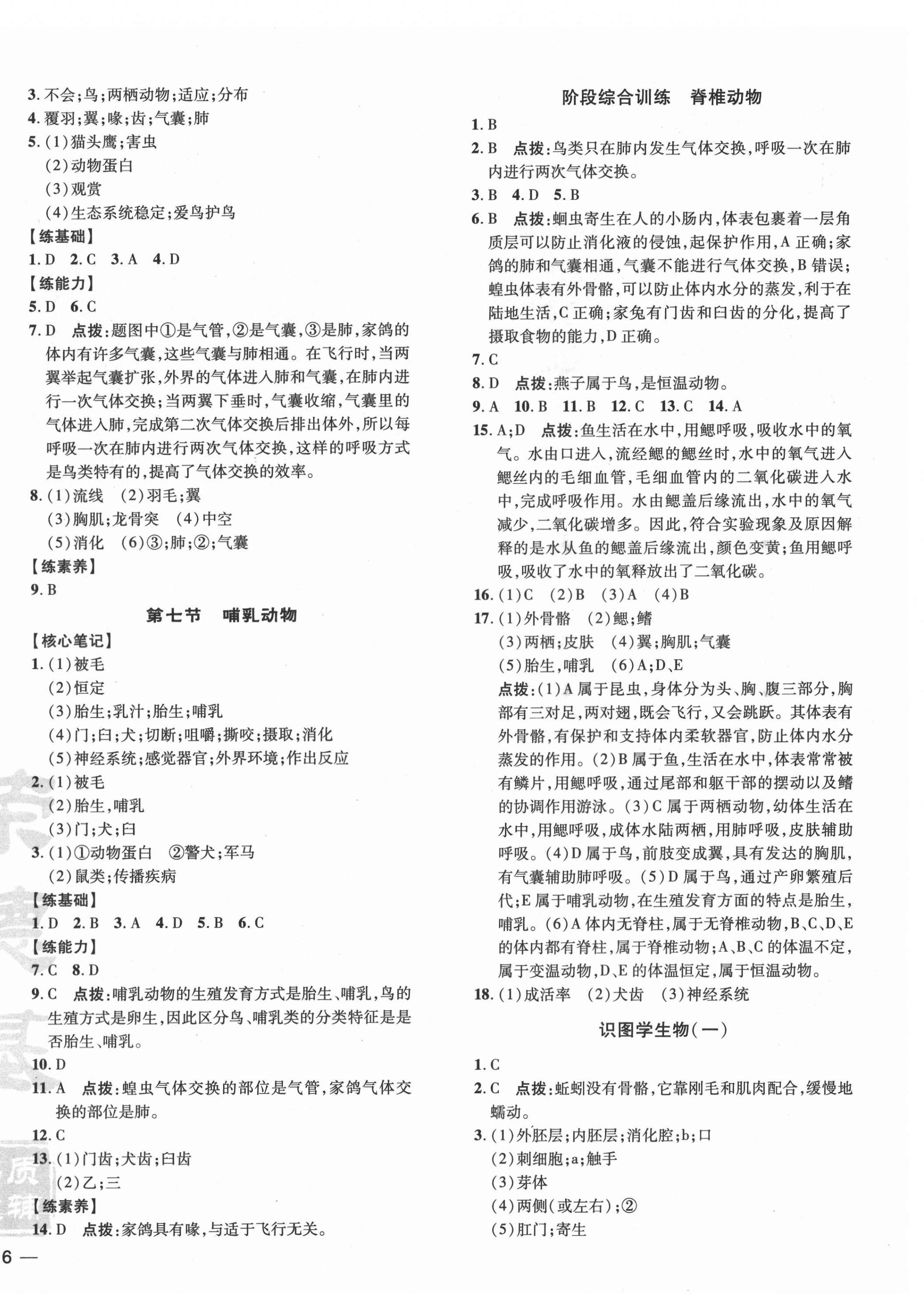 2021年點(diǎn)撥訓(xùn)練八年級(jí)生物上冊(cè)人教版 參考答案第4頁(yè)