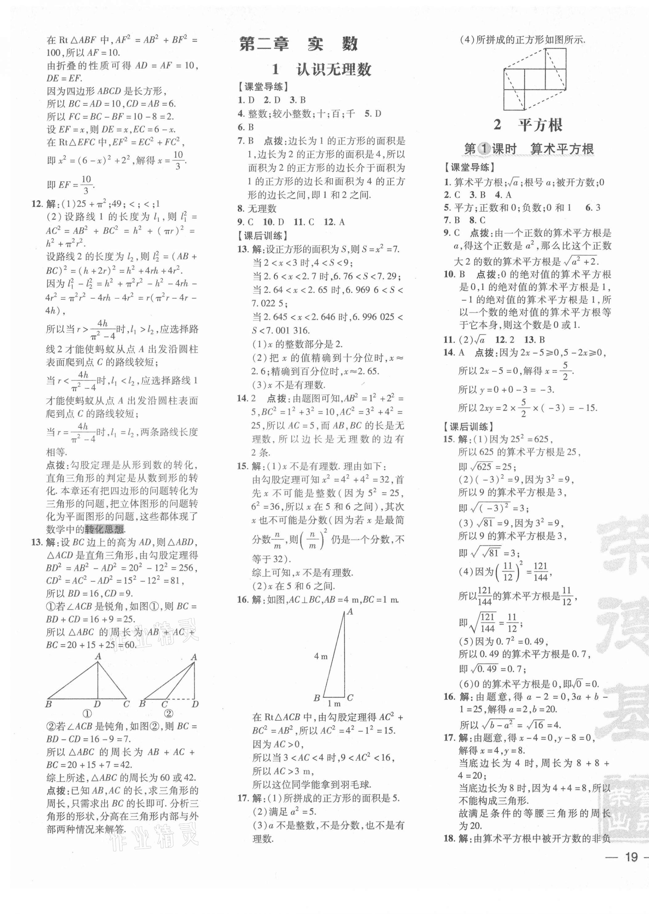 2021年點(diǎn)撥訓(xùn)練八年級數(shù)學(xué)上冊北師大版 參考答案第5頁