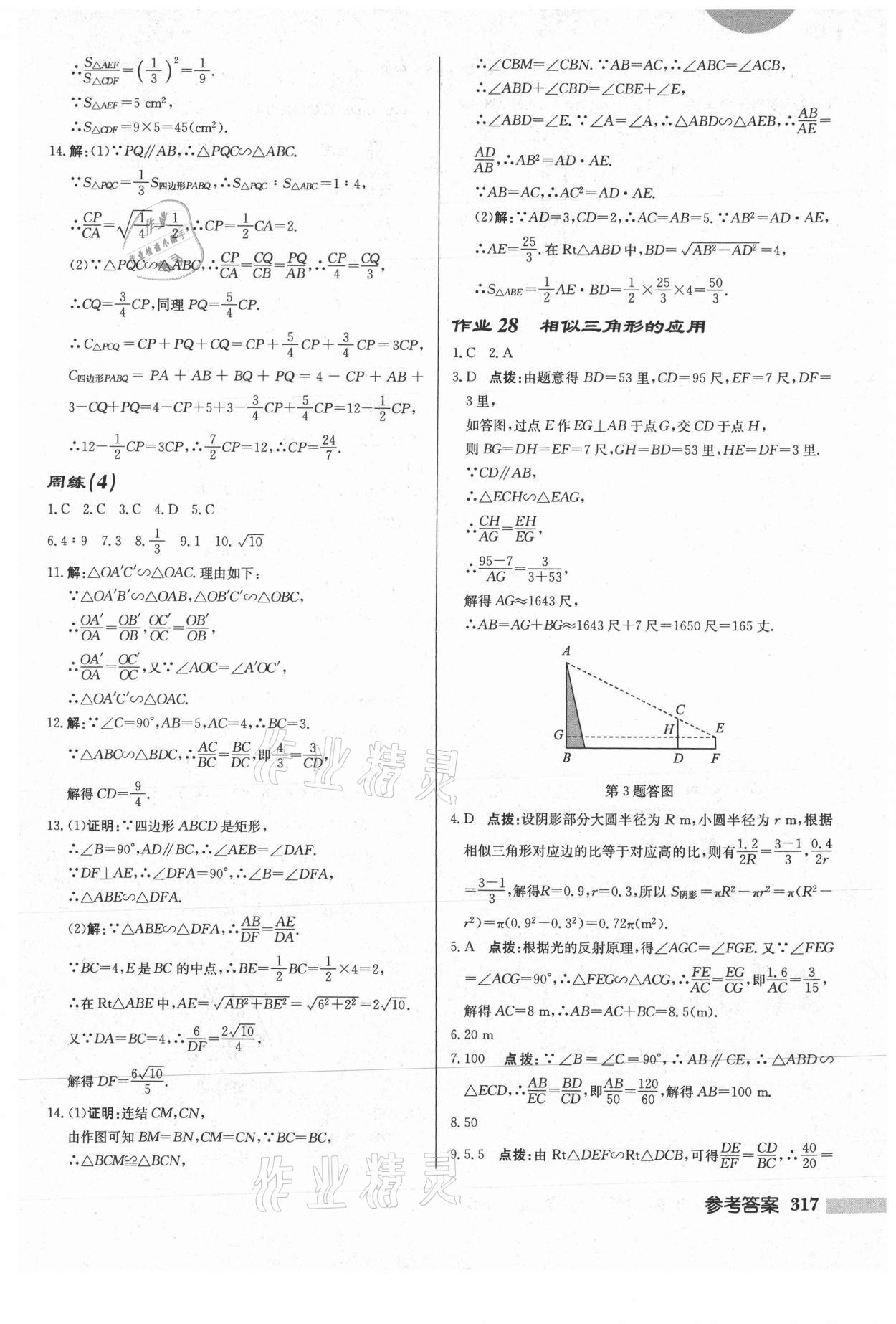 2021年啟東中學(xué)作業(yè)本九年級(jí)數(shù)學(xué)上冊(cè)華師大版 參考答案第19頁