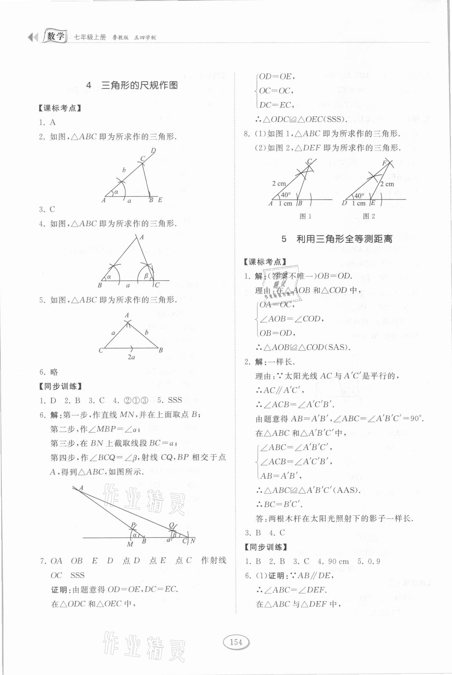 2021年初中同步练习册七年级数学上册鲁教版54制山东科学技术出版社 第4页