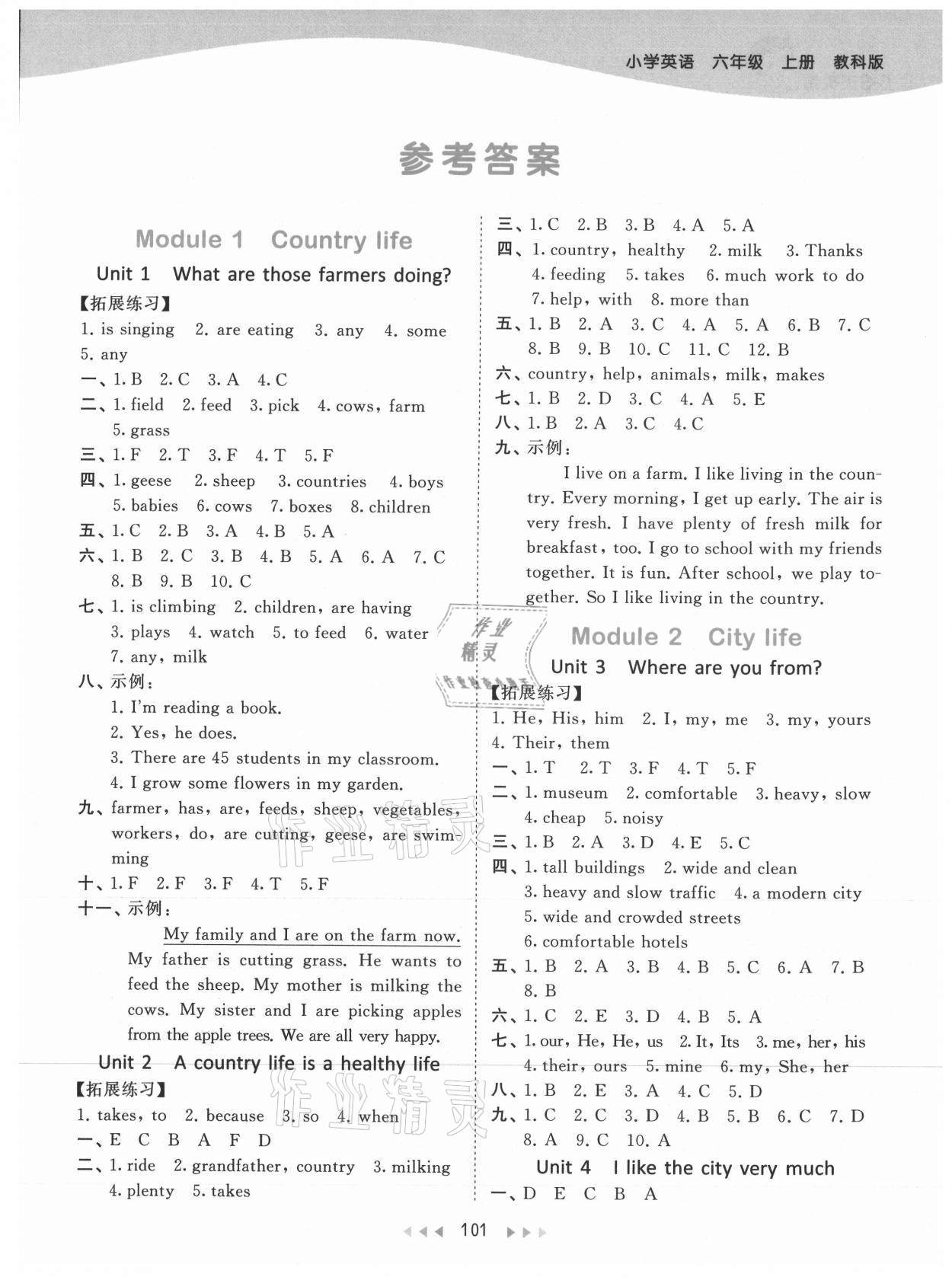 2021年53天天練六年級英語上冊教科版廣州專版 參考答案第1頁