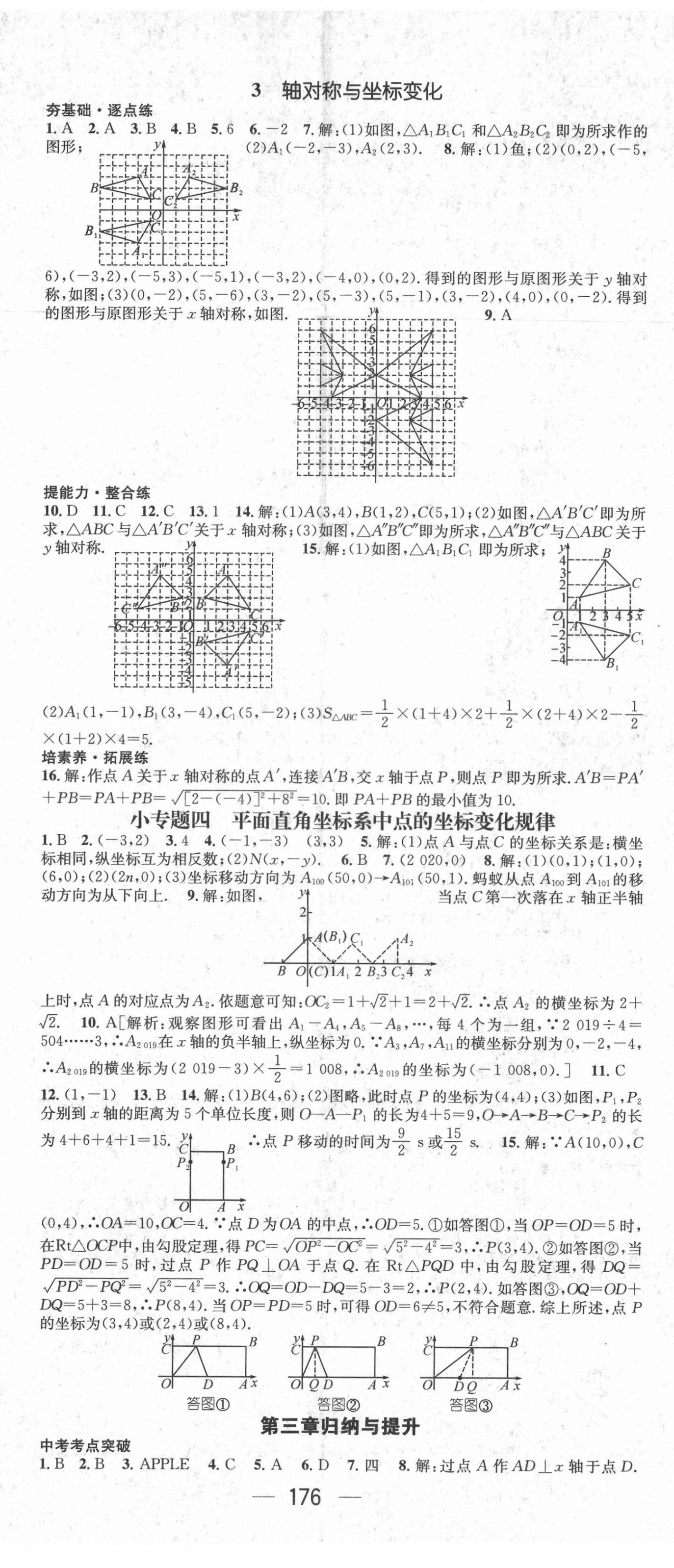 2021年精英新课堂八年级数学上册北师大版 第8页