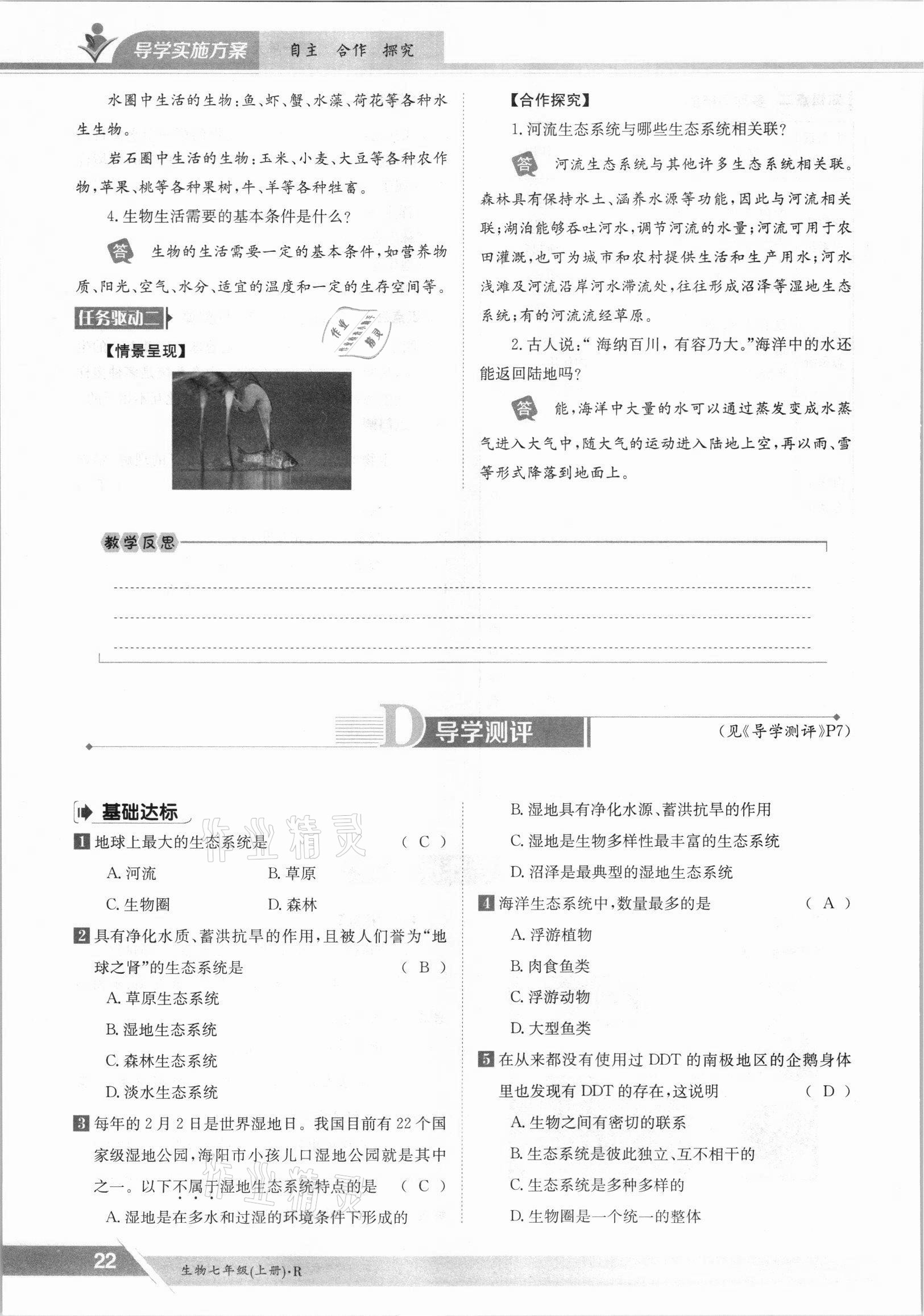 2021年金太阳导学案七年级生物上册人教版 参考答案第22页