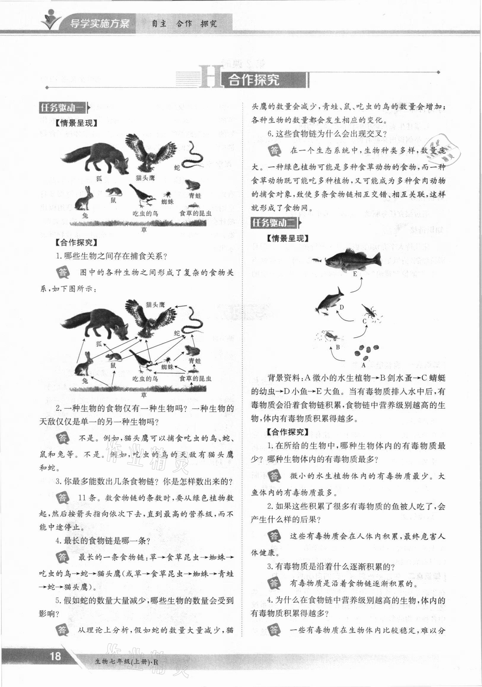 2021年金太阳导学案七年级生物上册人教版 参考答案第18页