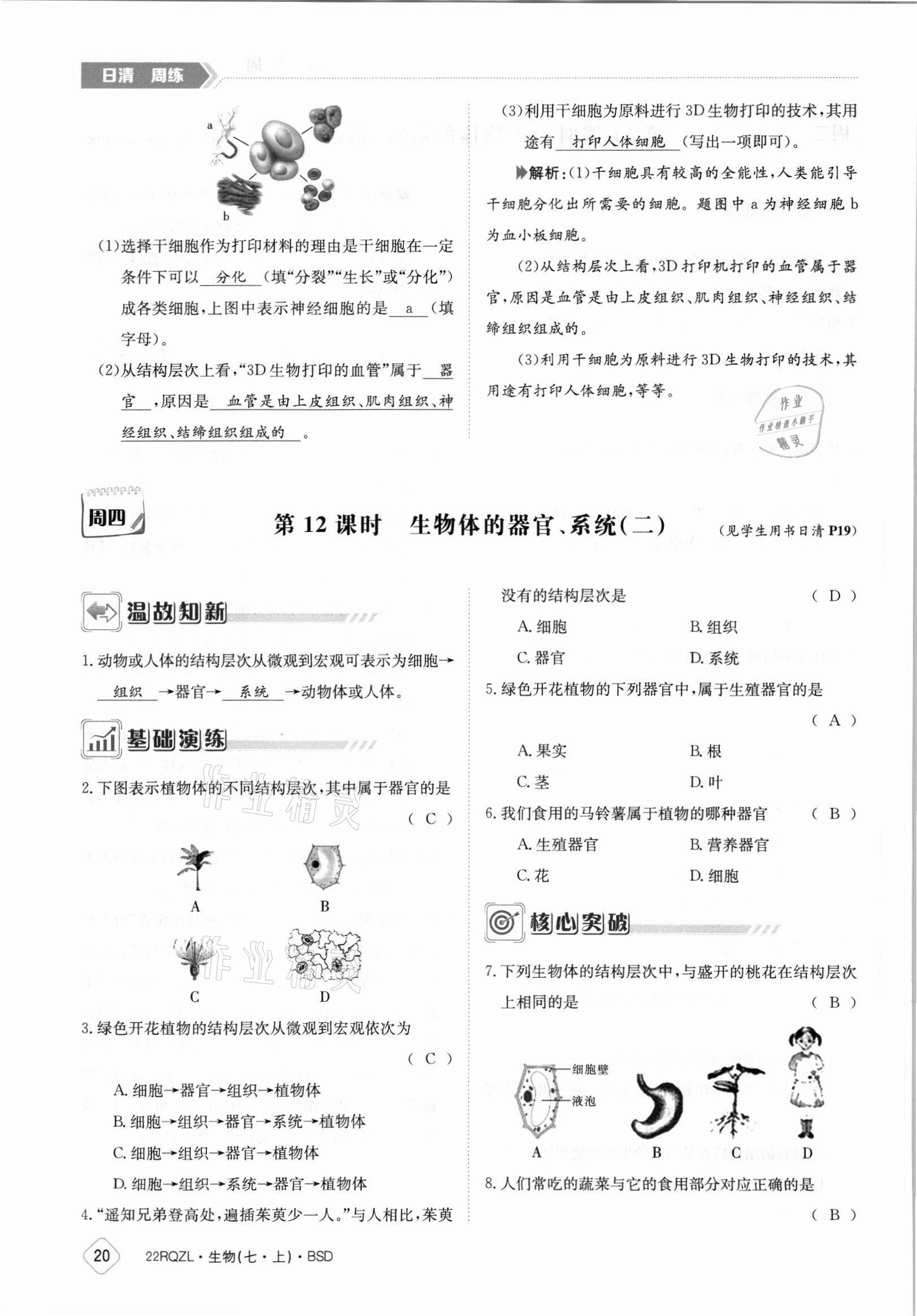 2021年日清周練七年級生物上冊北師大版 參考答案第20頁