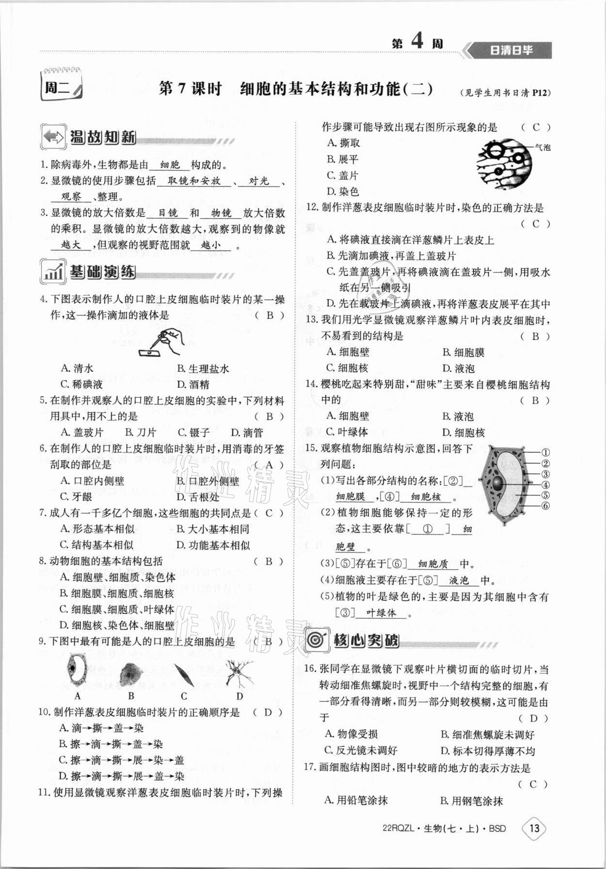 2021年日清周练七年级生物上册北师大版 参考答案第13页