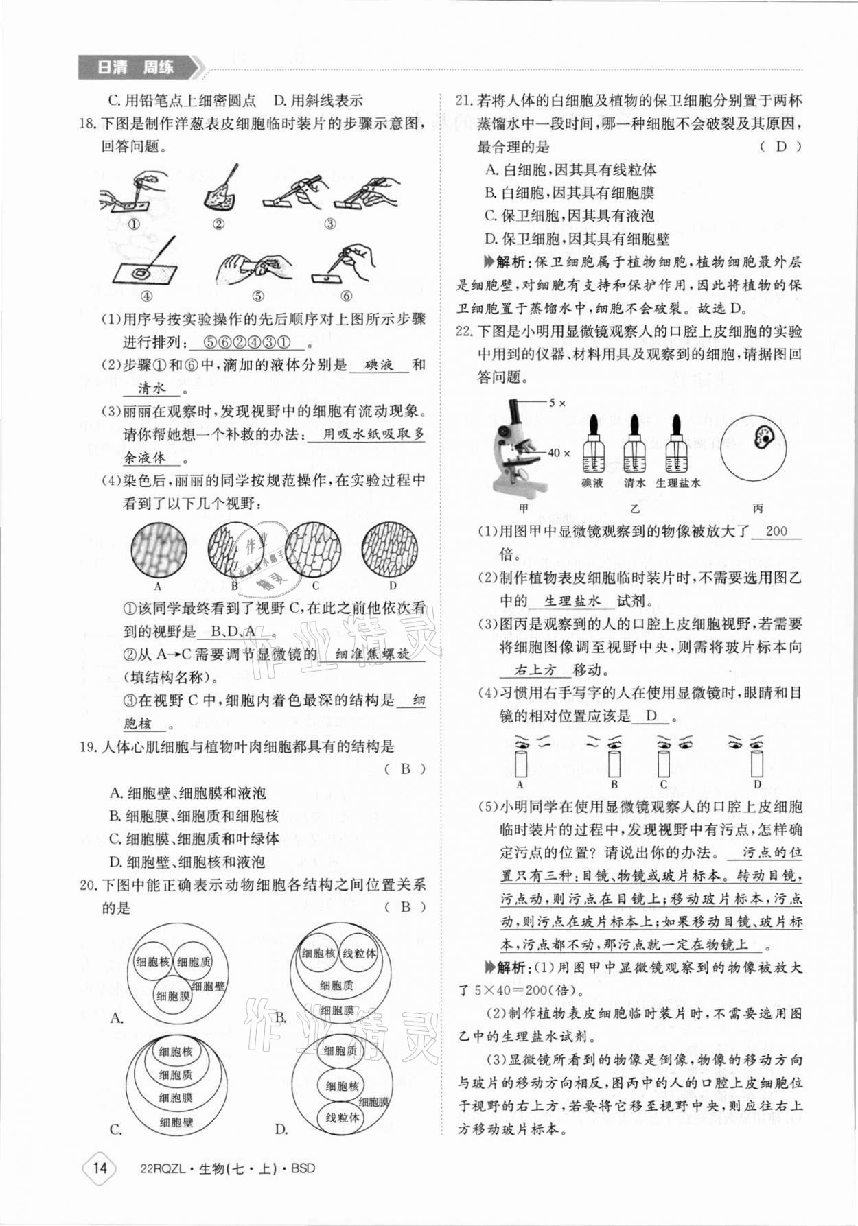 2021年日清周練七年級生物上冊北師大版 參考答案第14頁