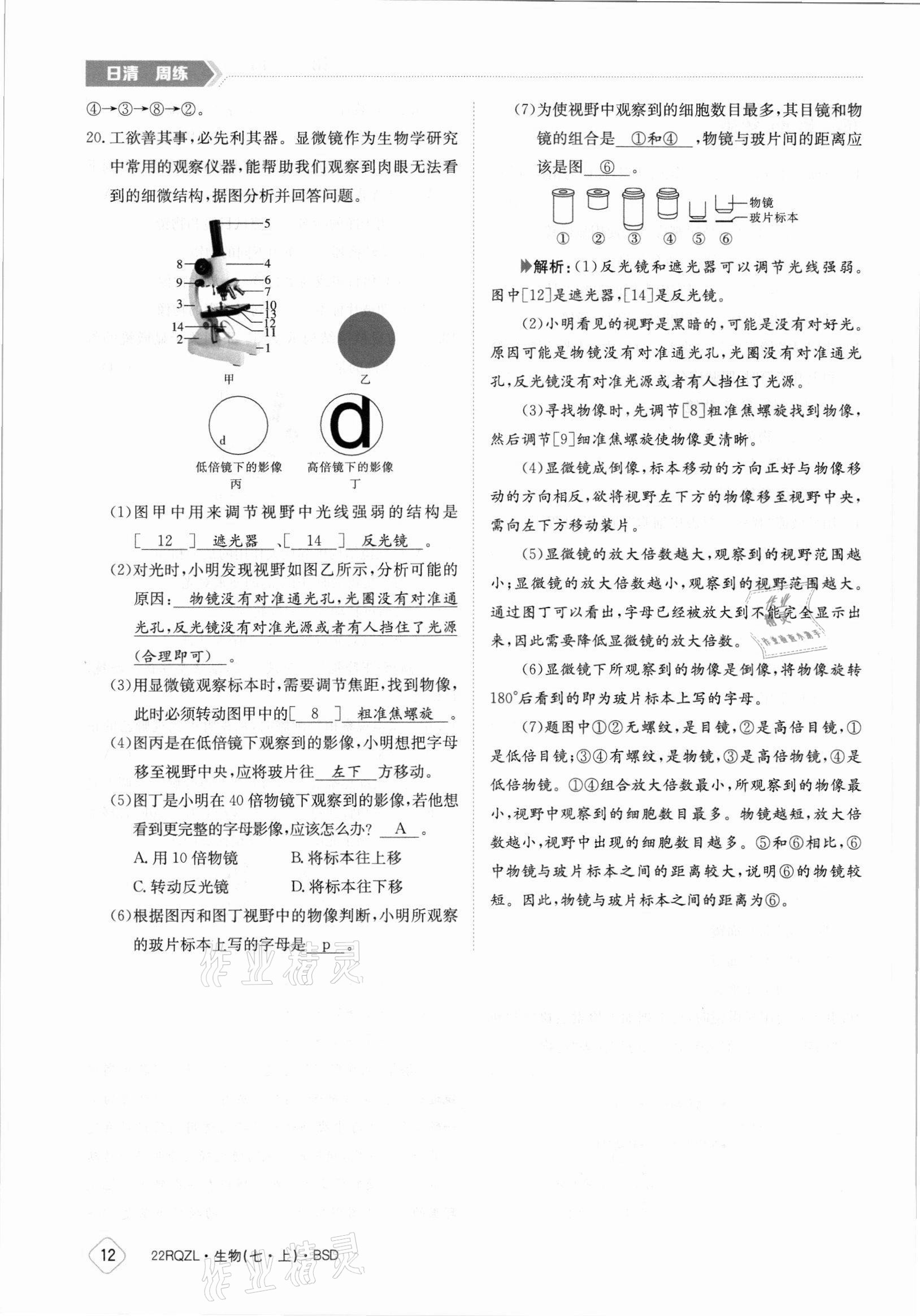 2021年日清周練七年級(jí)生物上冊(cè)北師大版 參考答案第12頁